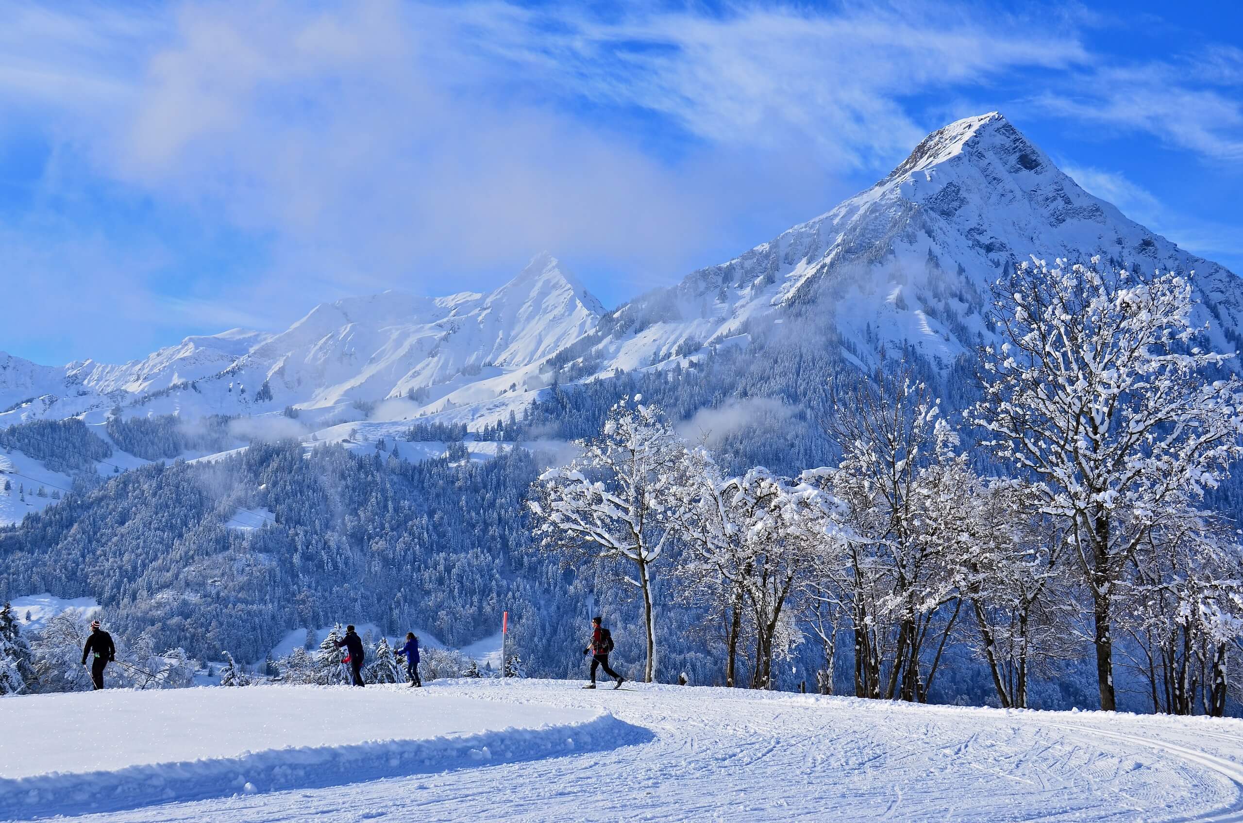 aeschi-langlauf-loipe-winter-panorama