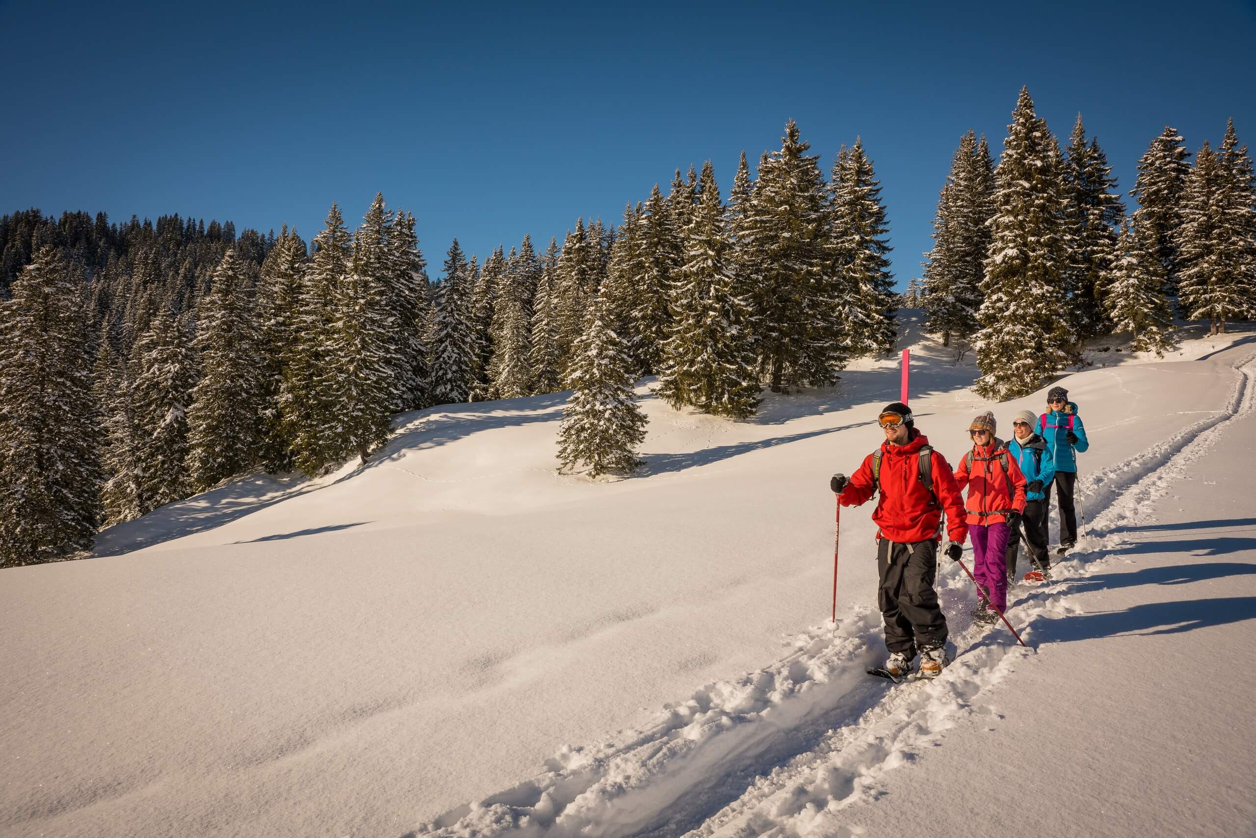 habkern-lombachalp-winter-schneeschuhlaufen-wald-winteraktivitaeten
