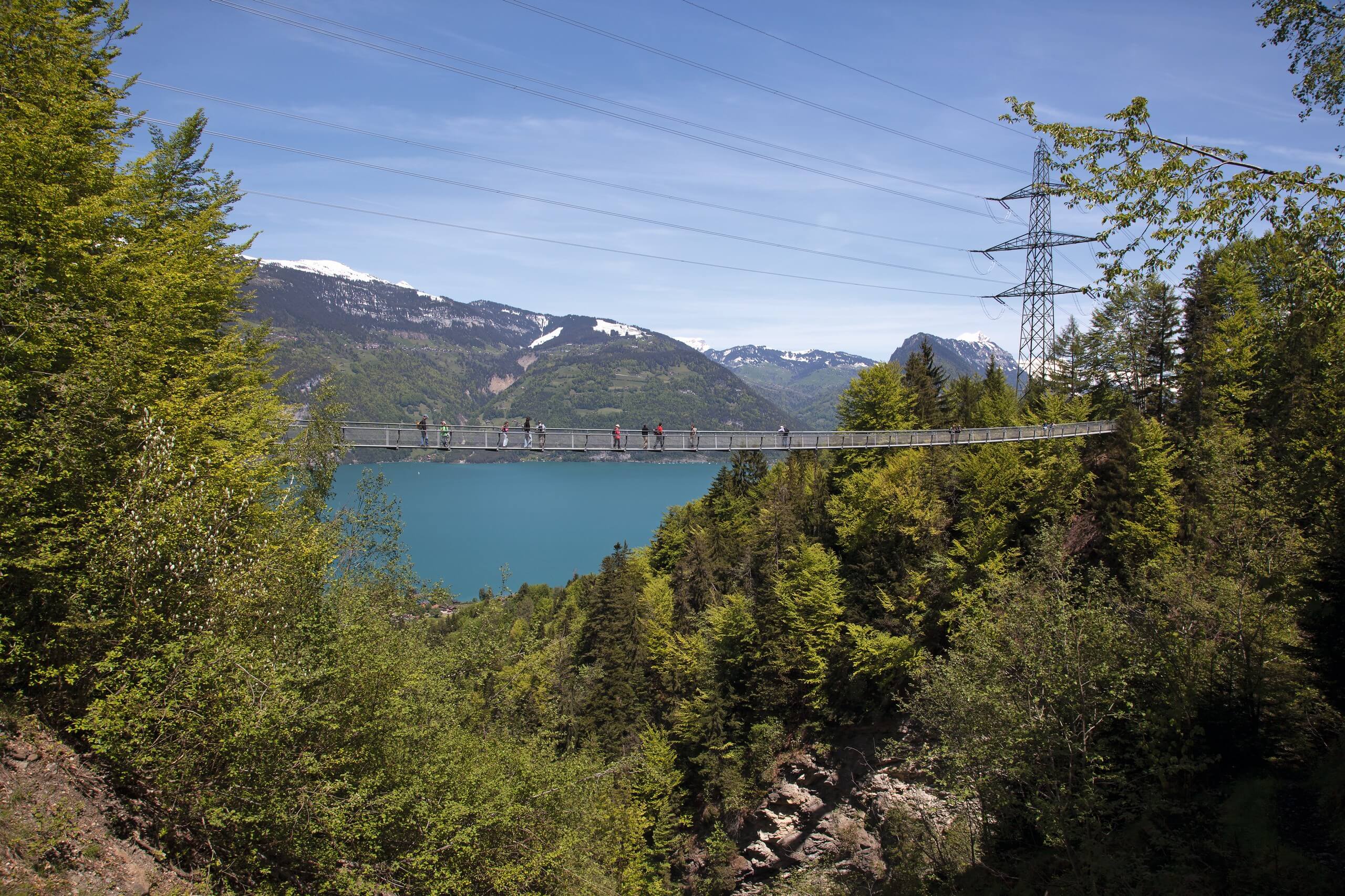 leissigen-fruehling-haengebruecke-thunersee