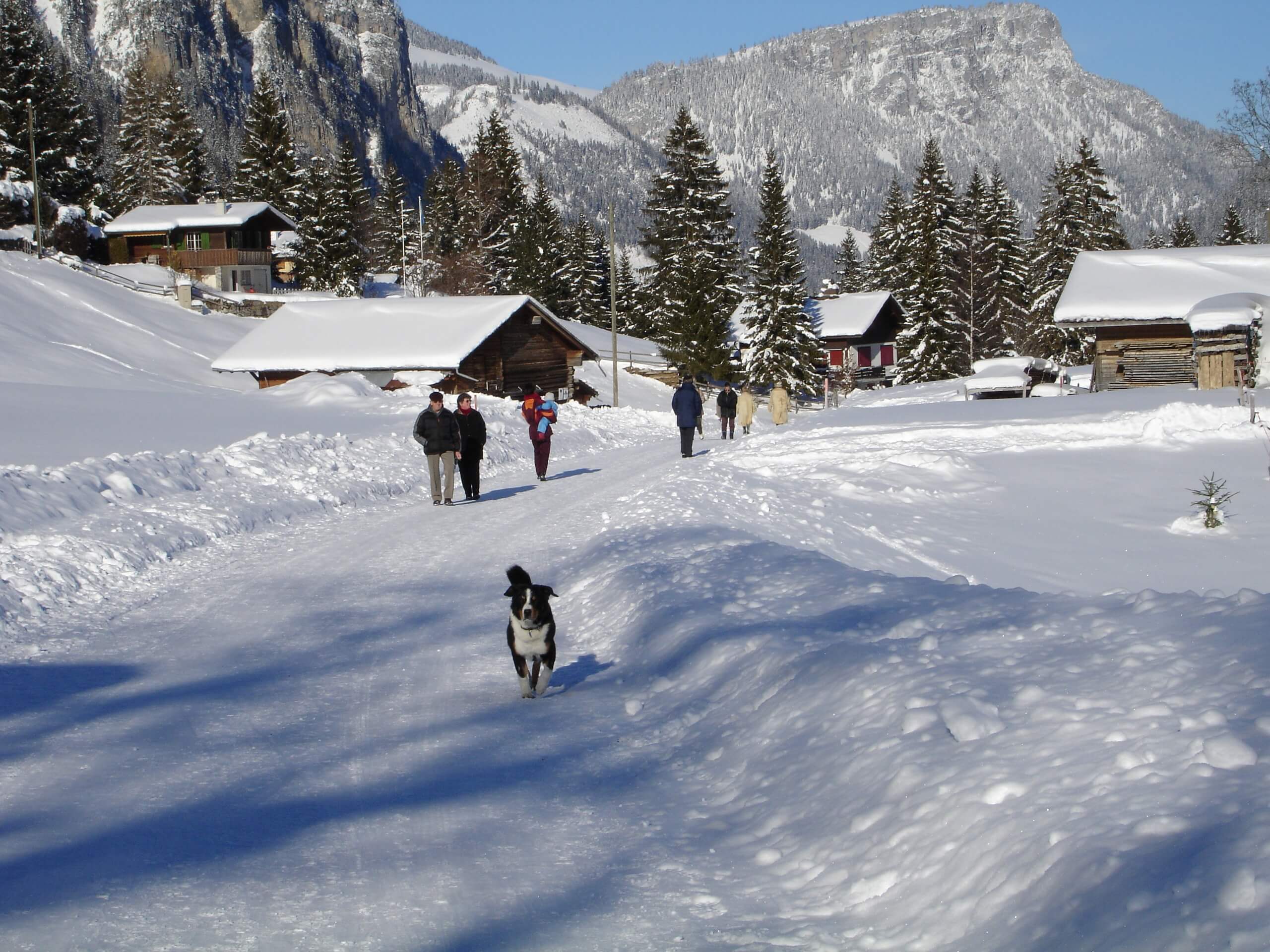 diemtigtal-erb-sport-schneeschuhwandern-winter