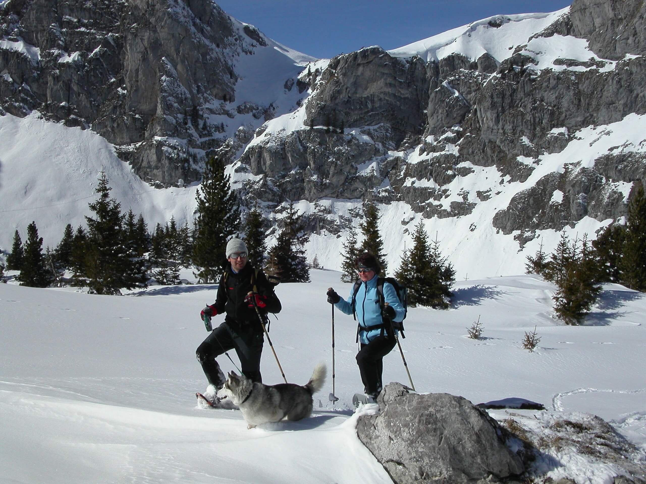 diemtigtal-erb-sport-winterwandern