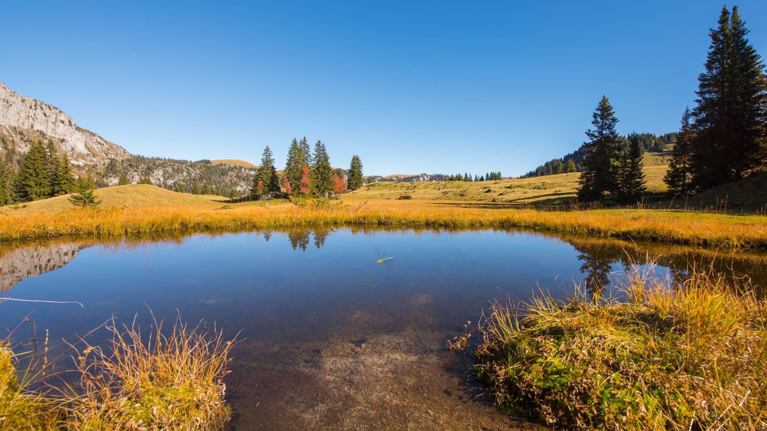 diemtigtal-umweltbildung-herbst-see
