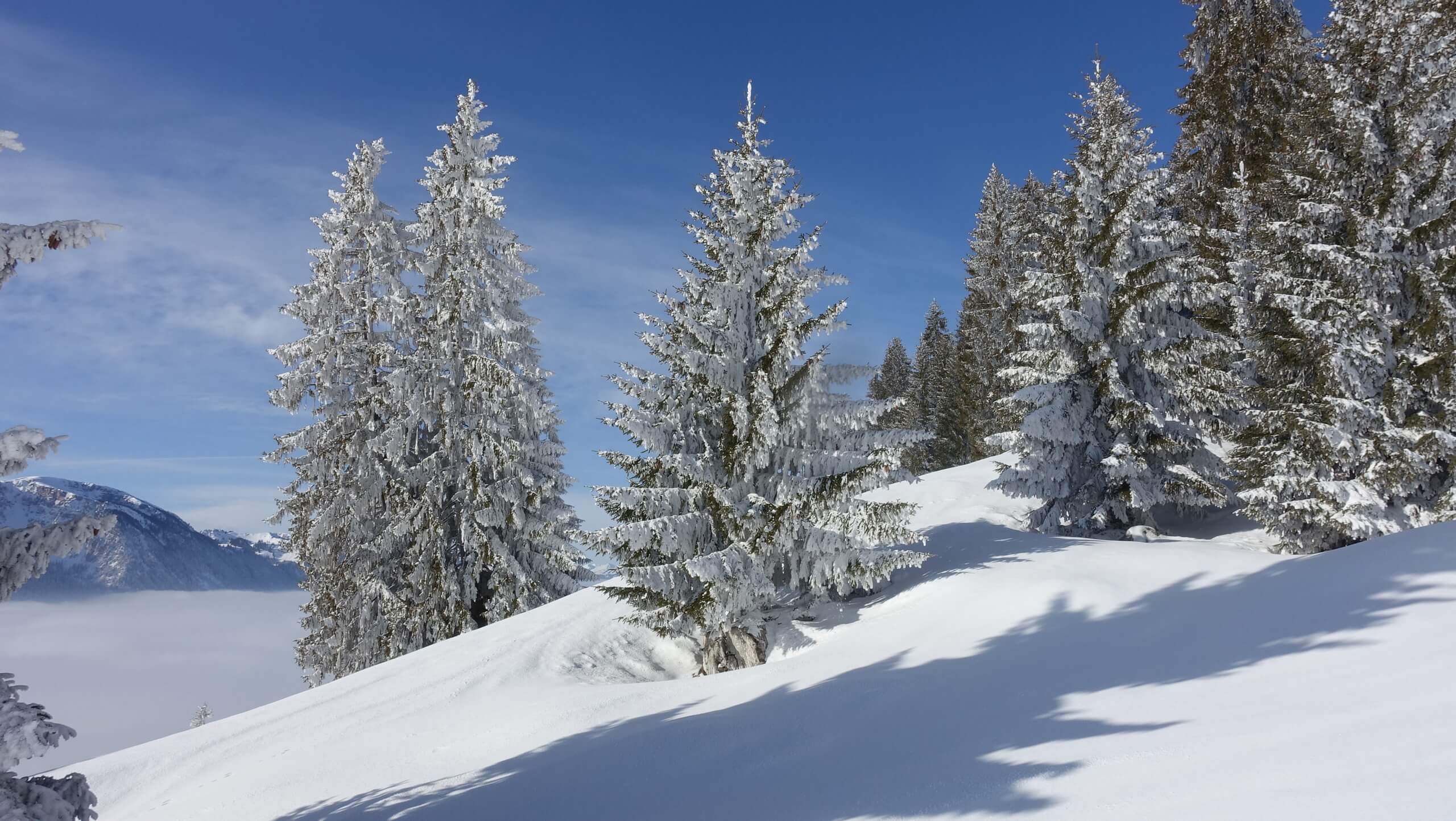 diemtigtal-schneeschuhwandern-winter-unterhalb-vorderstockenalp-erlenbach