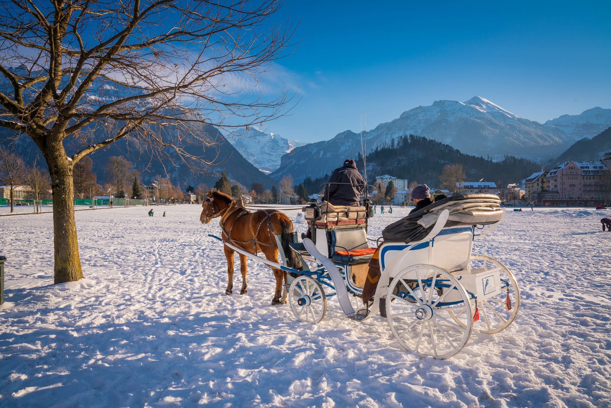 interlaken-kutschenfahrt-dorfrundfahrt-winter