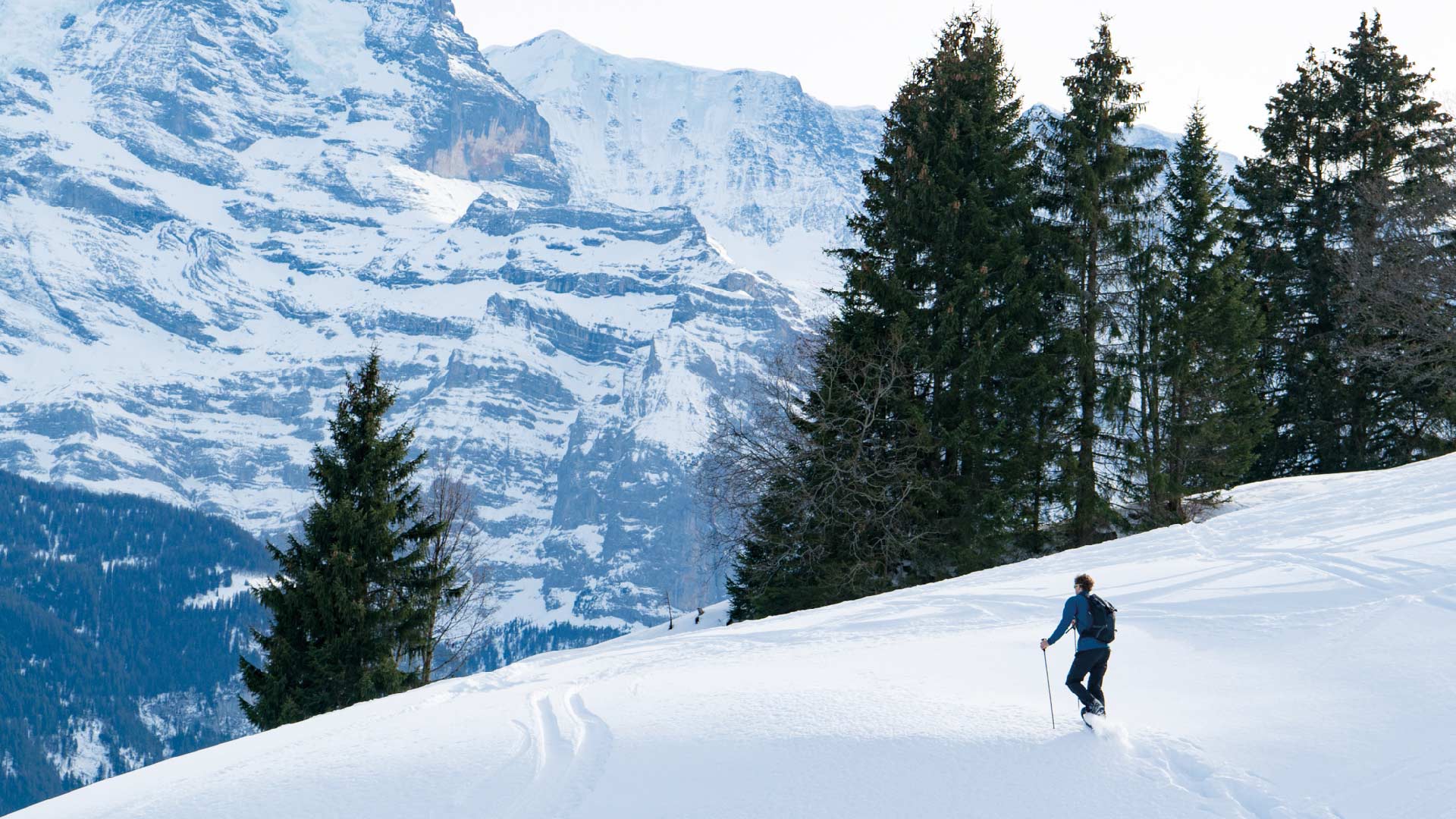 schneeschuh-outdoor-active-schnee-spass-natur-winter-schneeschuhlaeufer