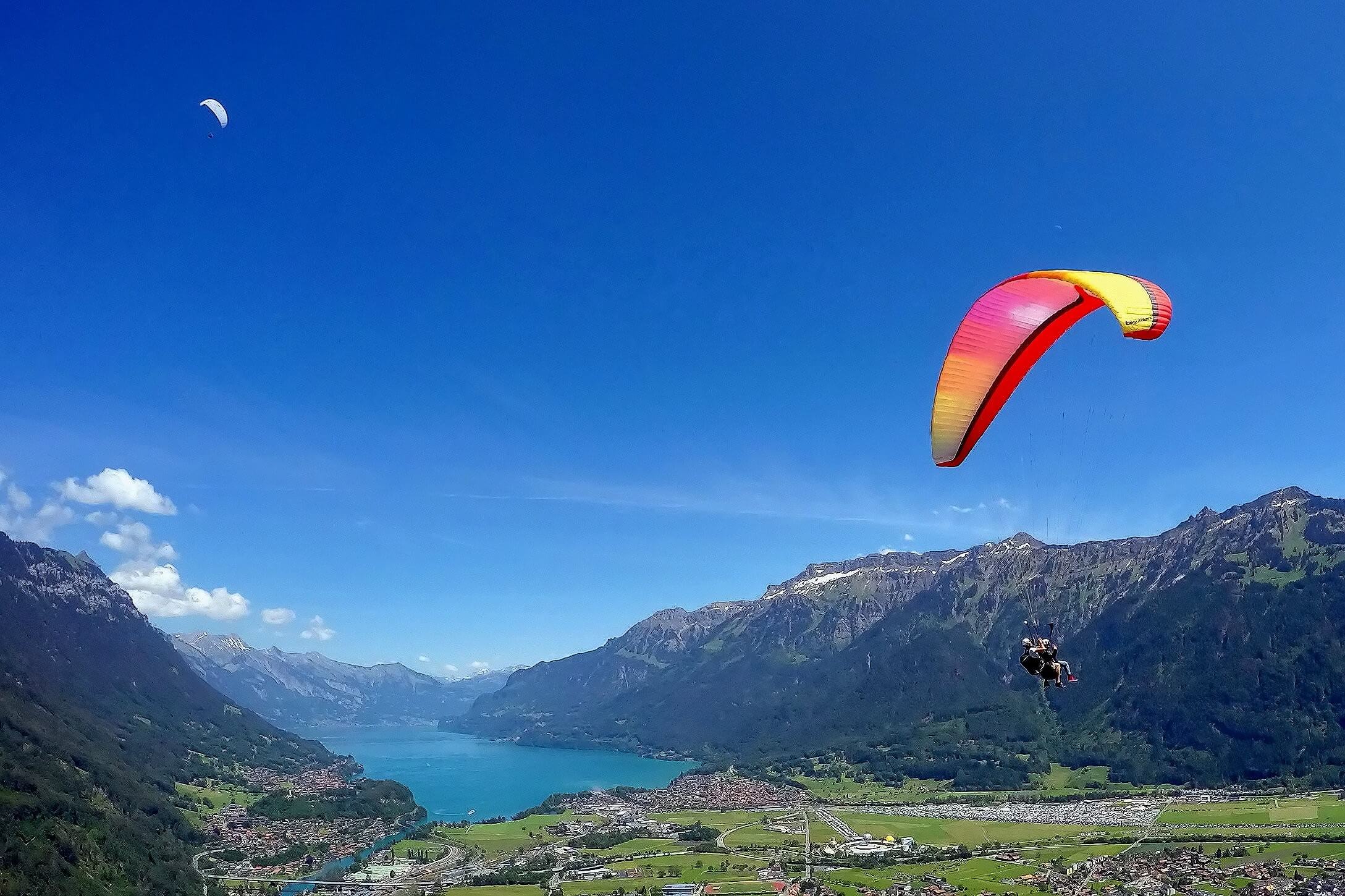 interlaken-paragliding-alpinair-sommer-interlaken-brienzersee