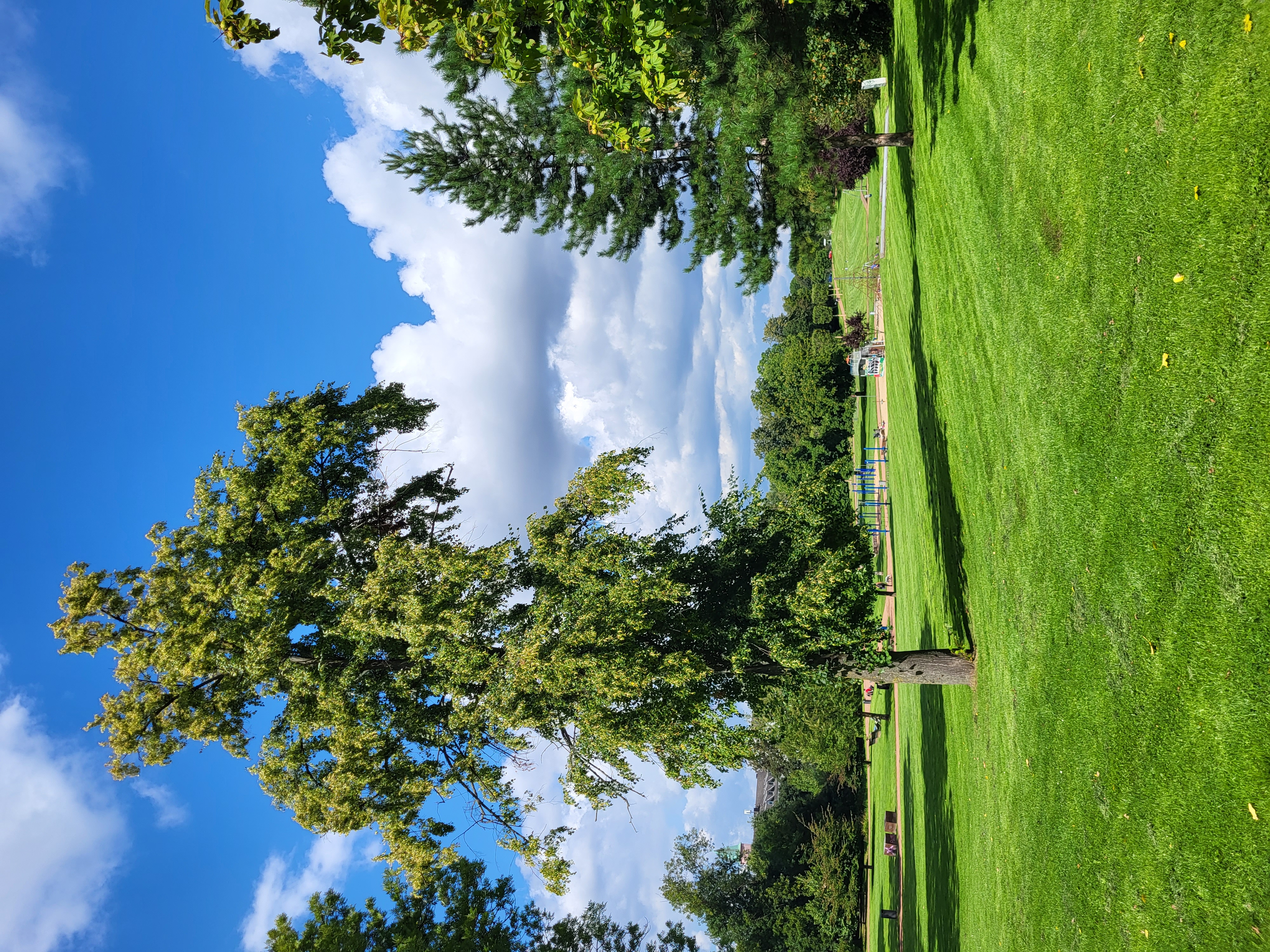Schmechtingwiese Bochum