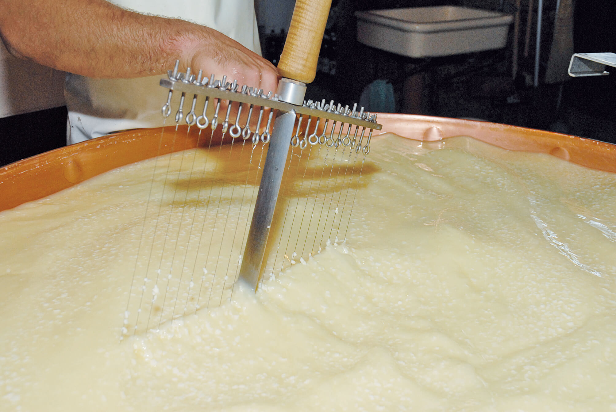 The cheesemaker cuts the curd with the harp