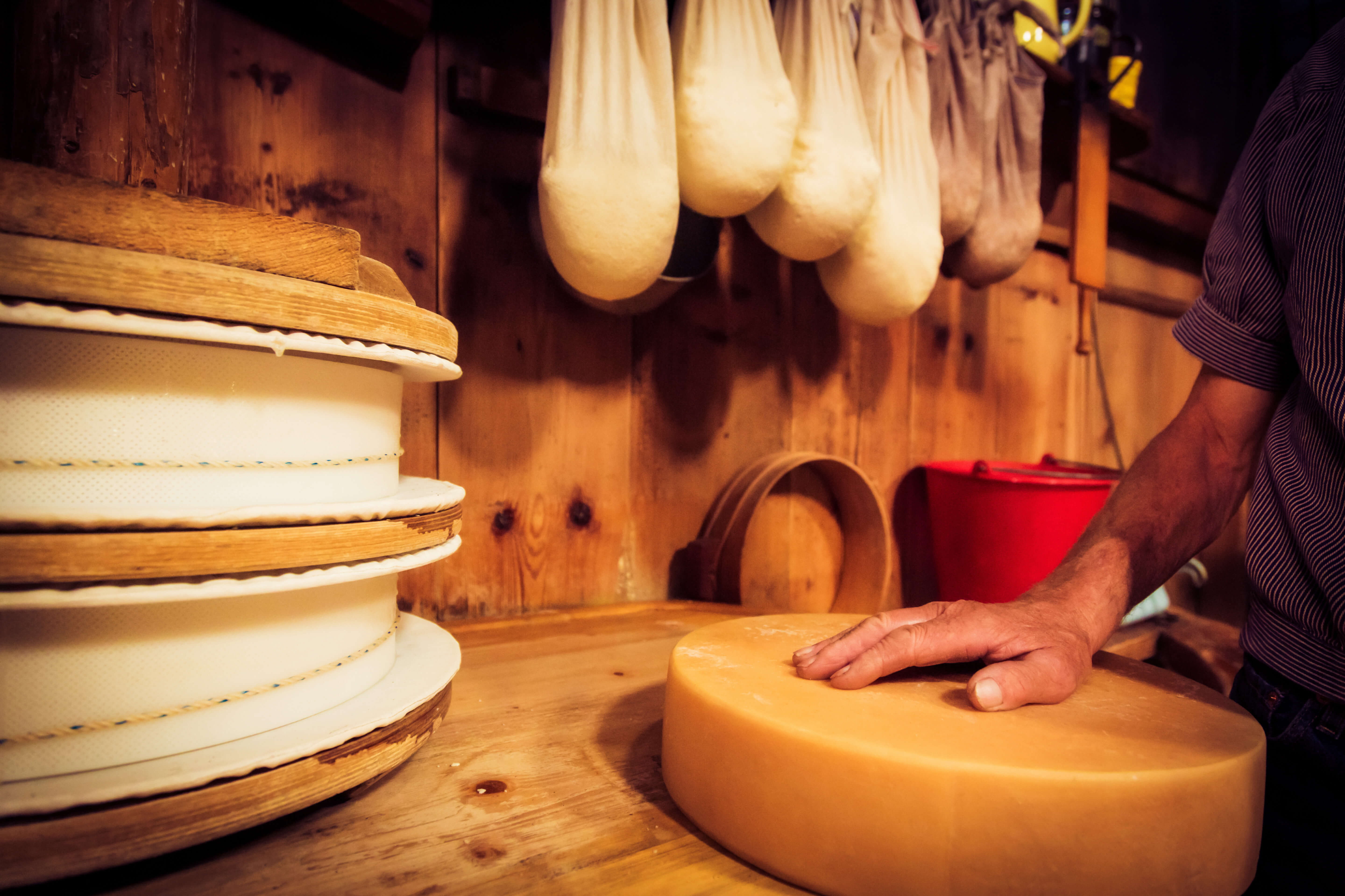 Käseherstellung und Pflege