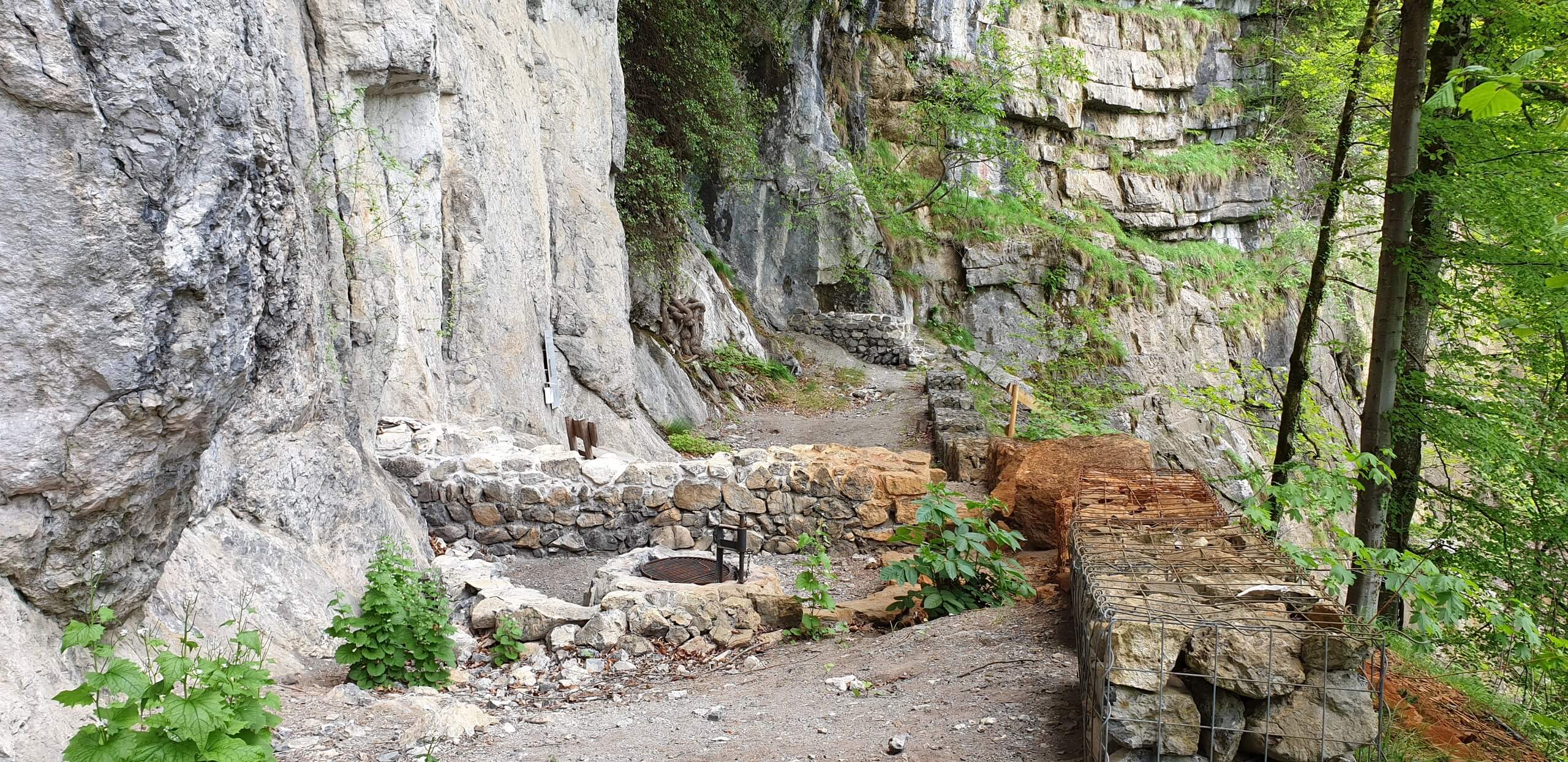 wilderswil-ruine-rothenfluh-braetelstelle-fruehling-wanderweg