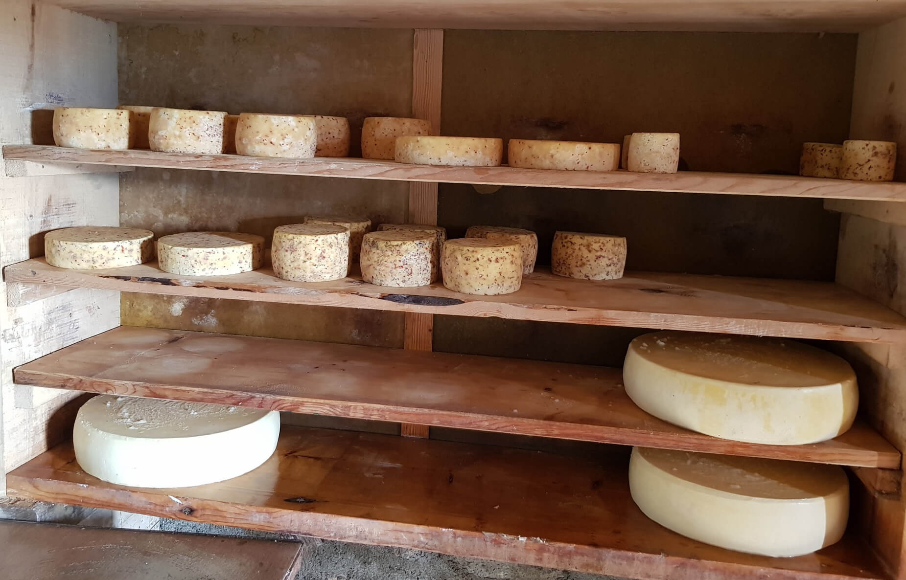 Cheese cellar of «Krebs» Alp