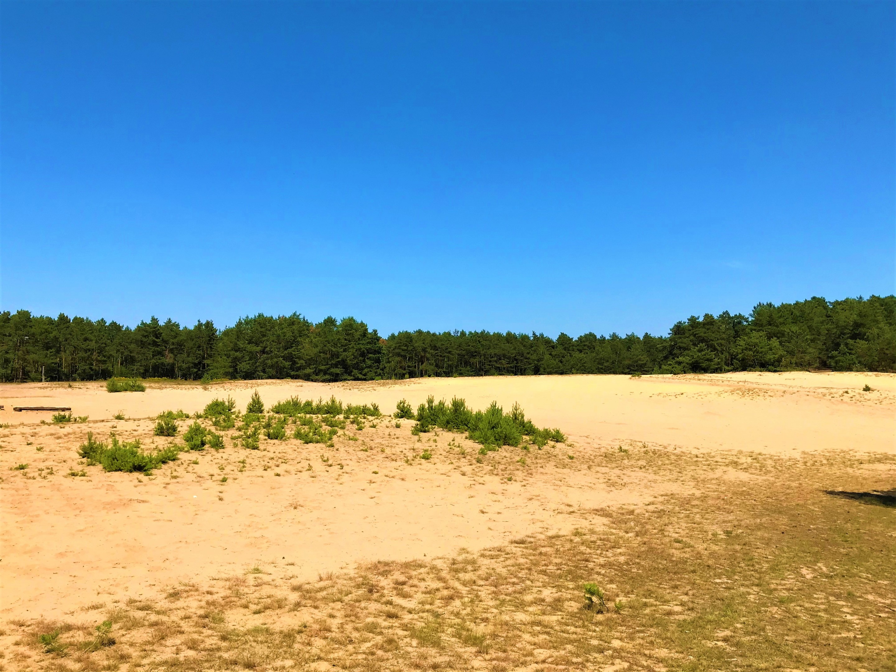 Lohner Sand