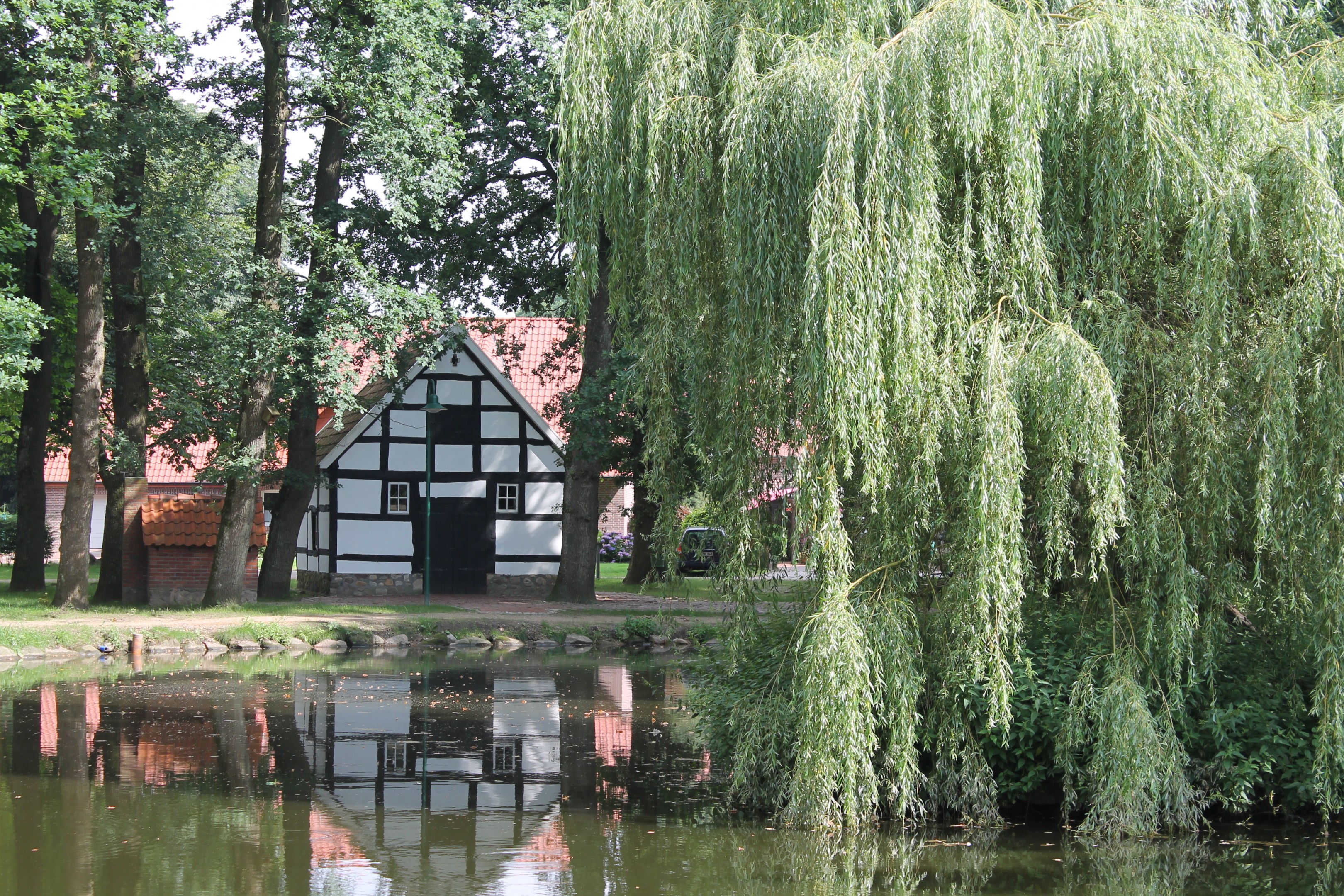 Dosenmoortour – Hümmling-Pfade