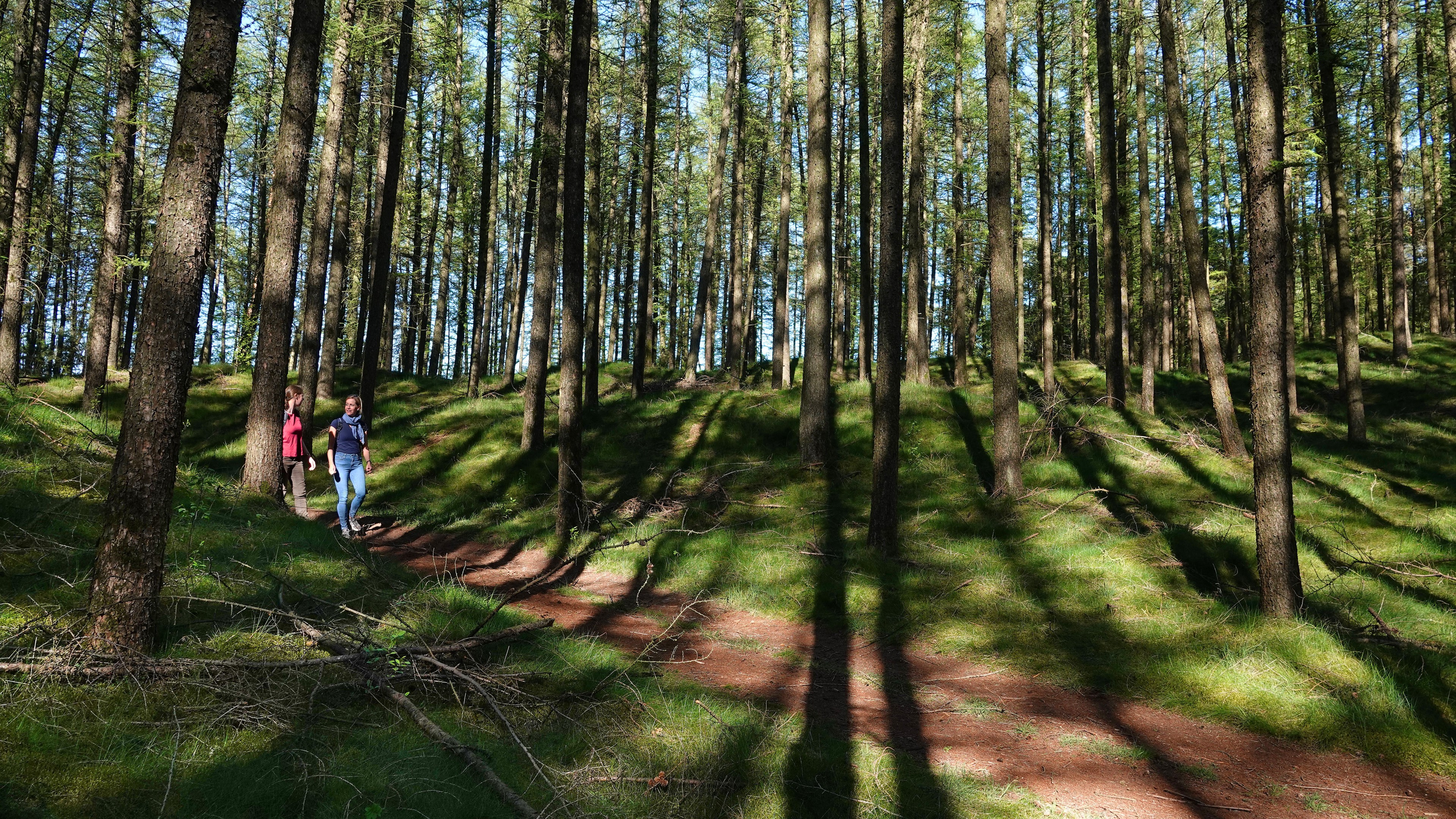 Kateekerpatt – Hümmling-Pfade