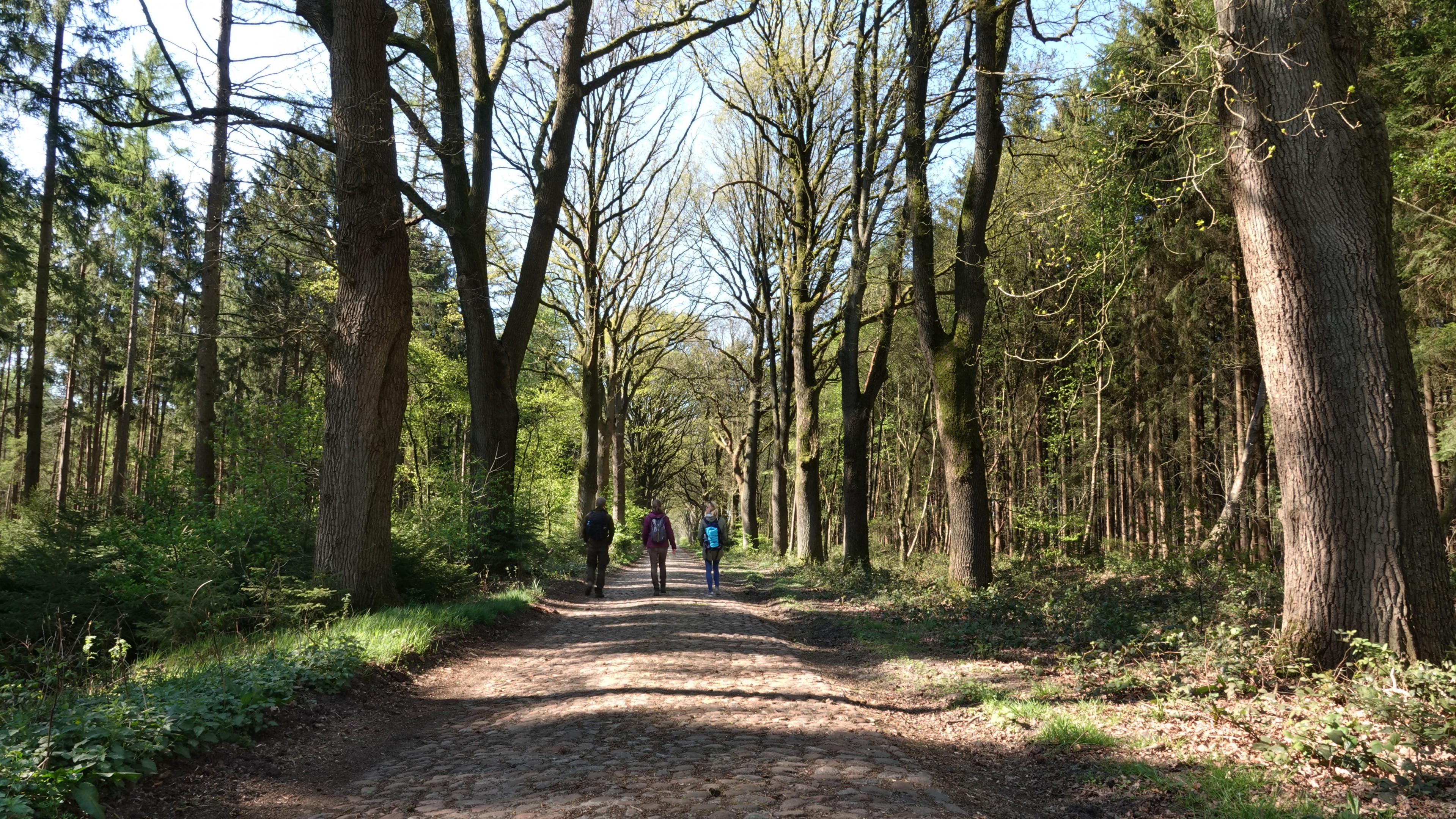 Historische Straße – Hümmling-Pfade