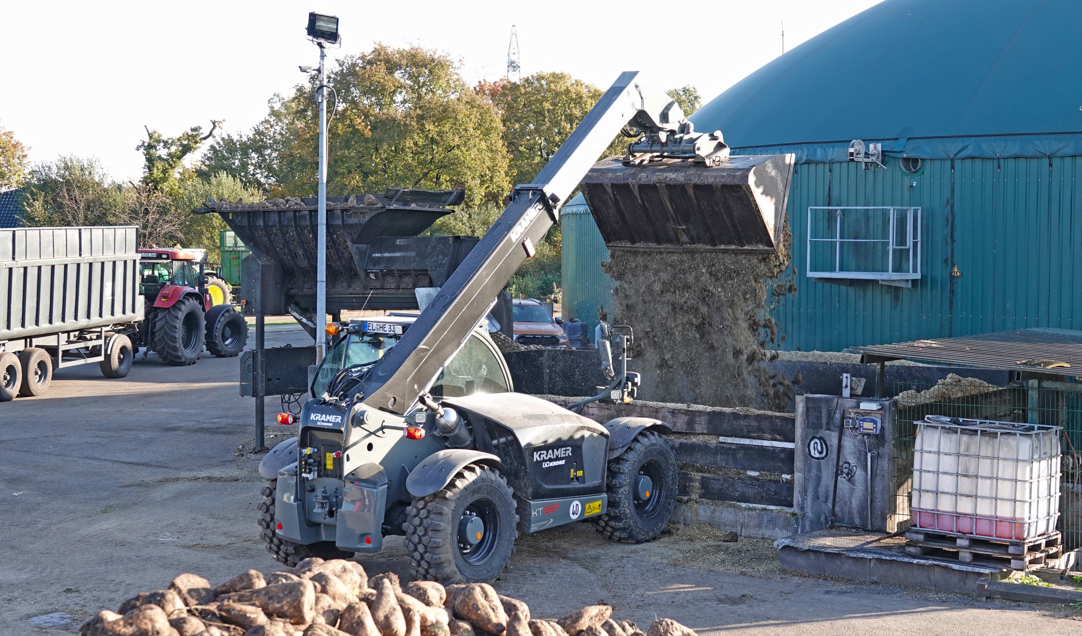 Байланған жұмыртқаларды қараңыз Байланған жұмыртқаларды қараңыз
