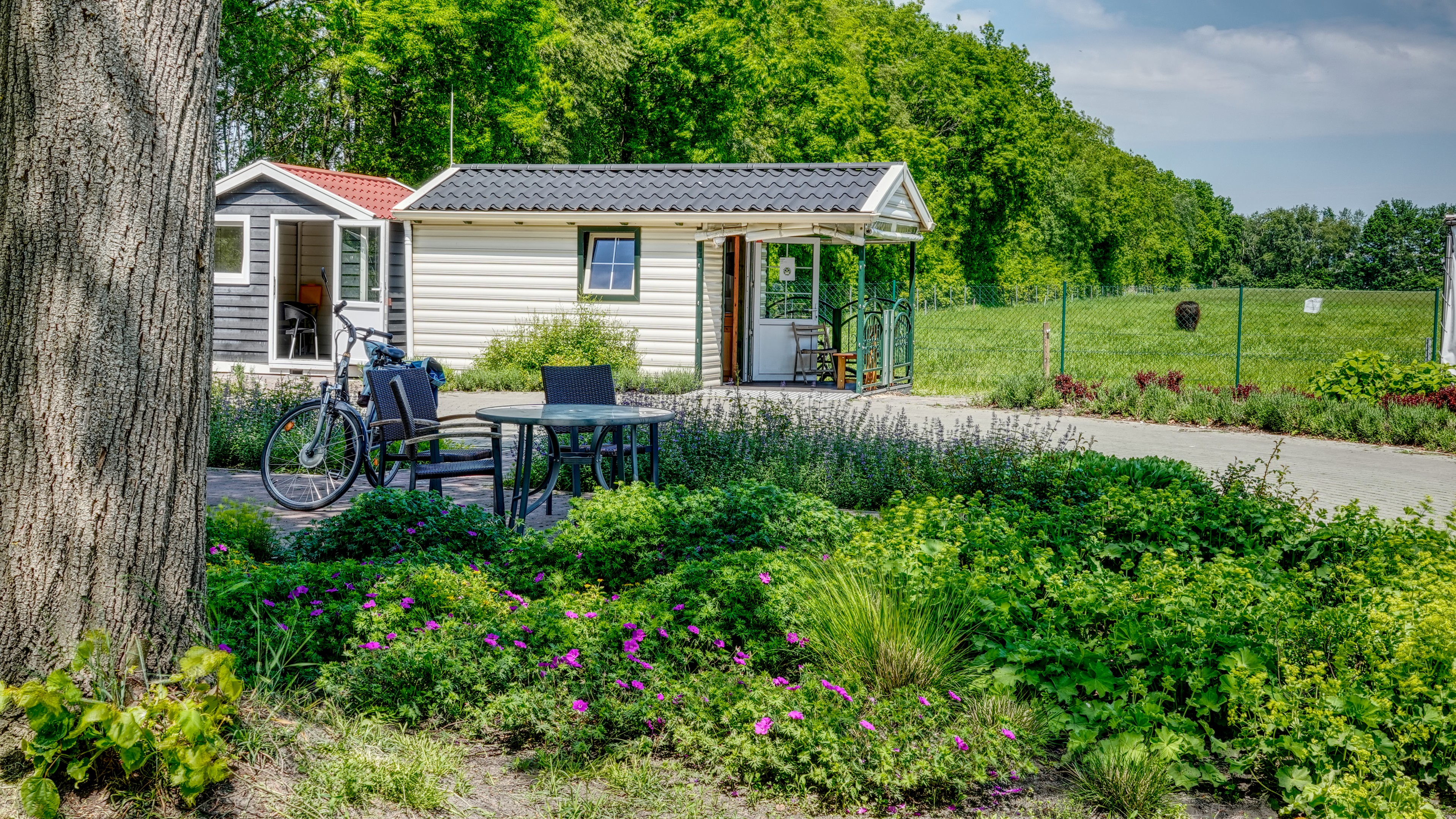 Тайландтағы Аня порно