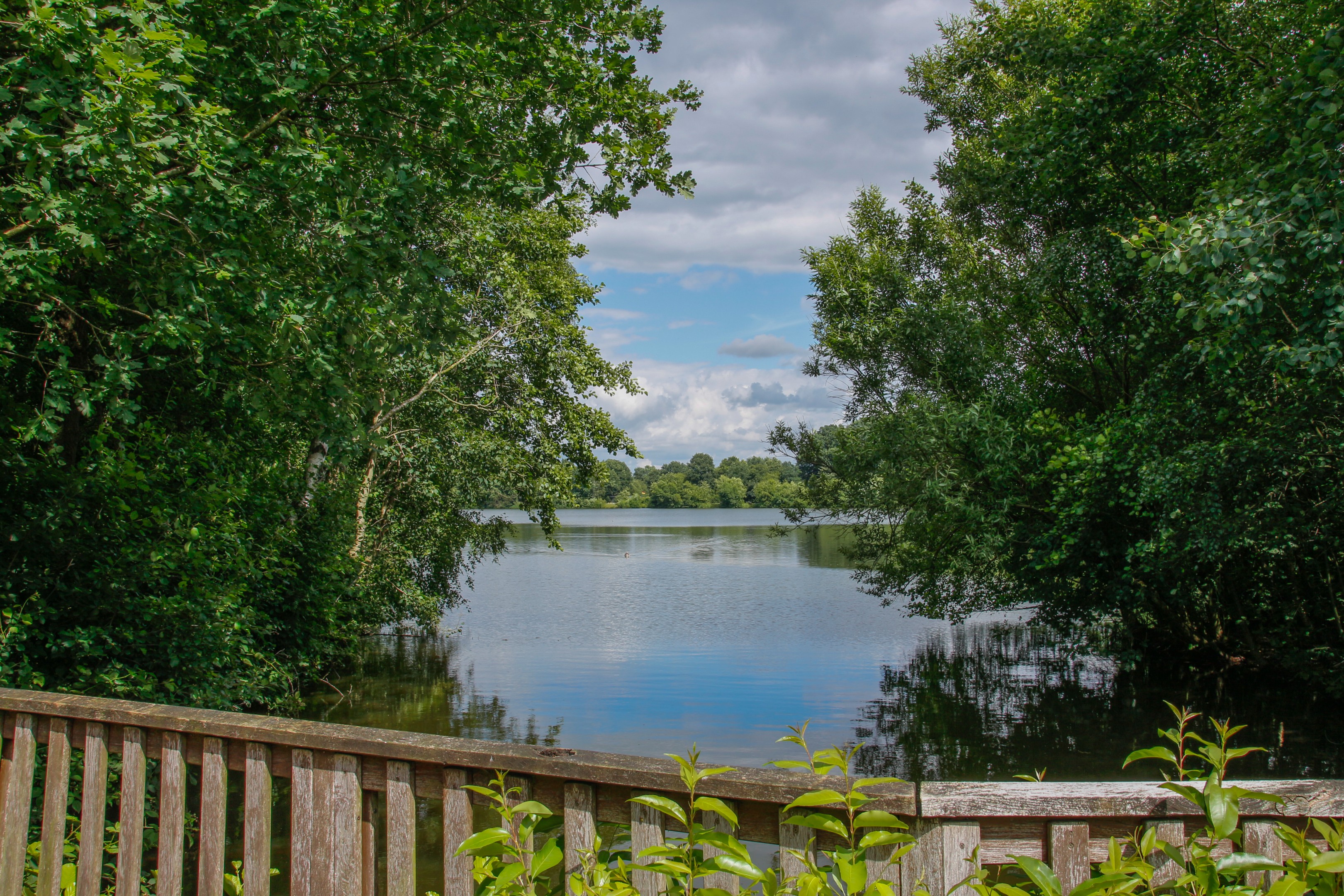Dem Wasser auf der Spur