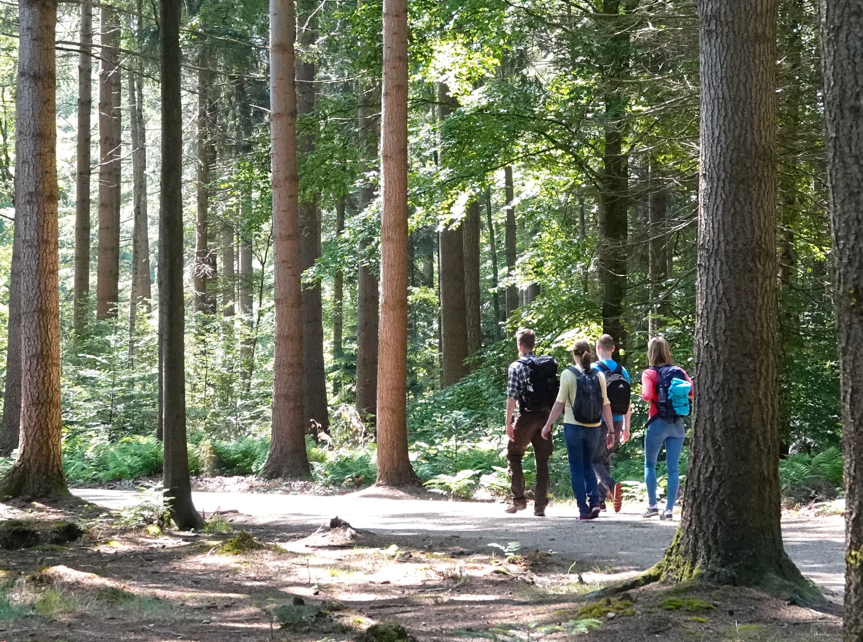 Kurfürsten-Runde – Hümmling-Pfade
