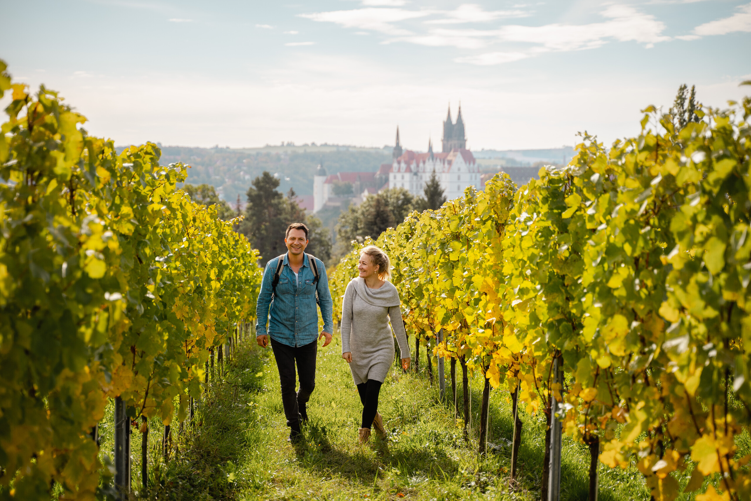 Weinmanufaktur am Mariaberg – Motiv