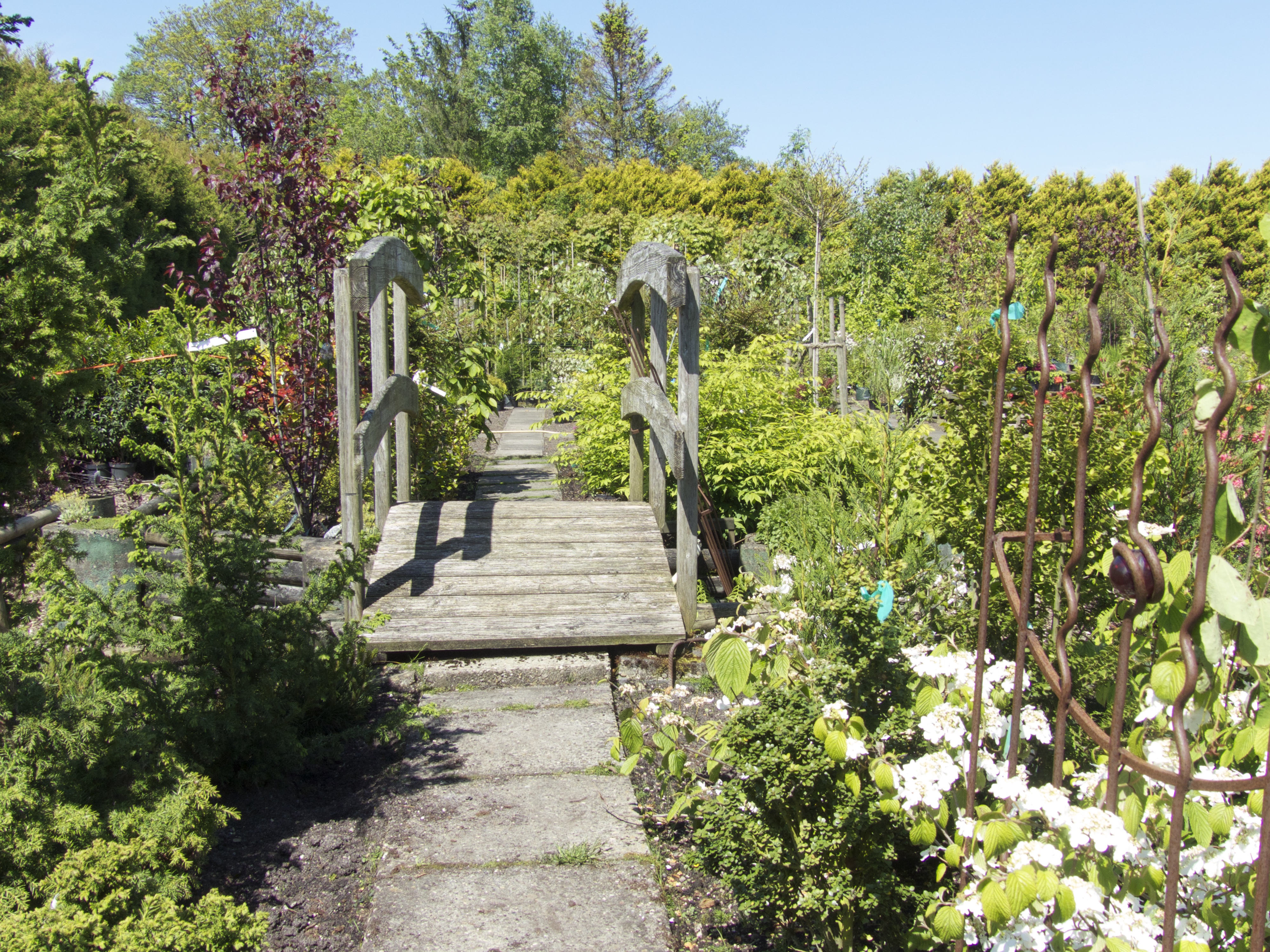Gartencenter Schittenhelm der Baumschule Leezdorf