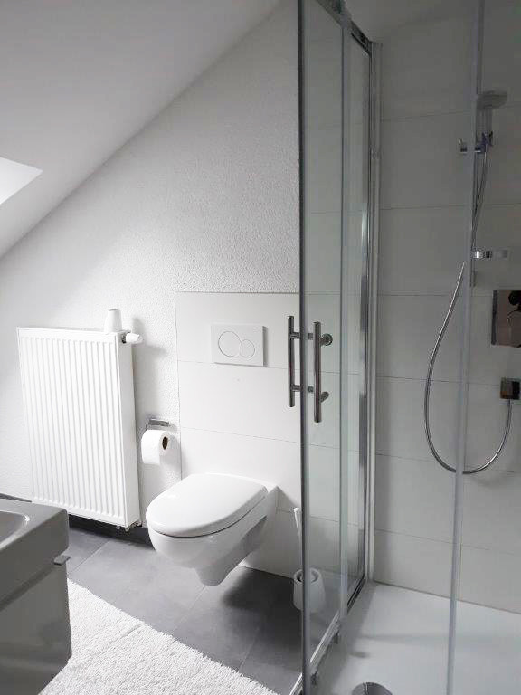 1. Badezimmer mit Dusche, WC und Waschbereich