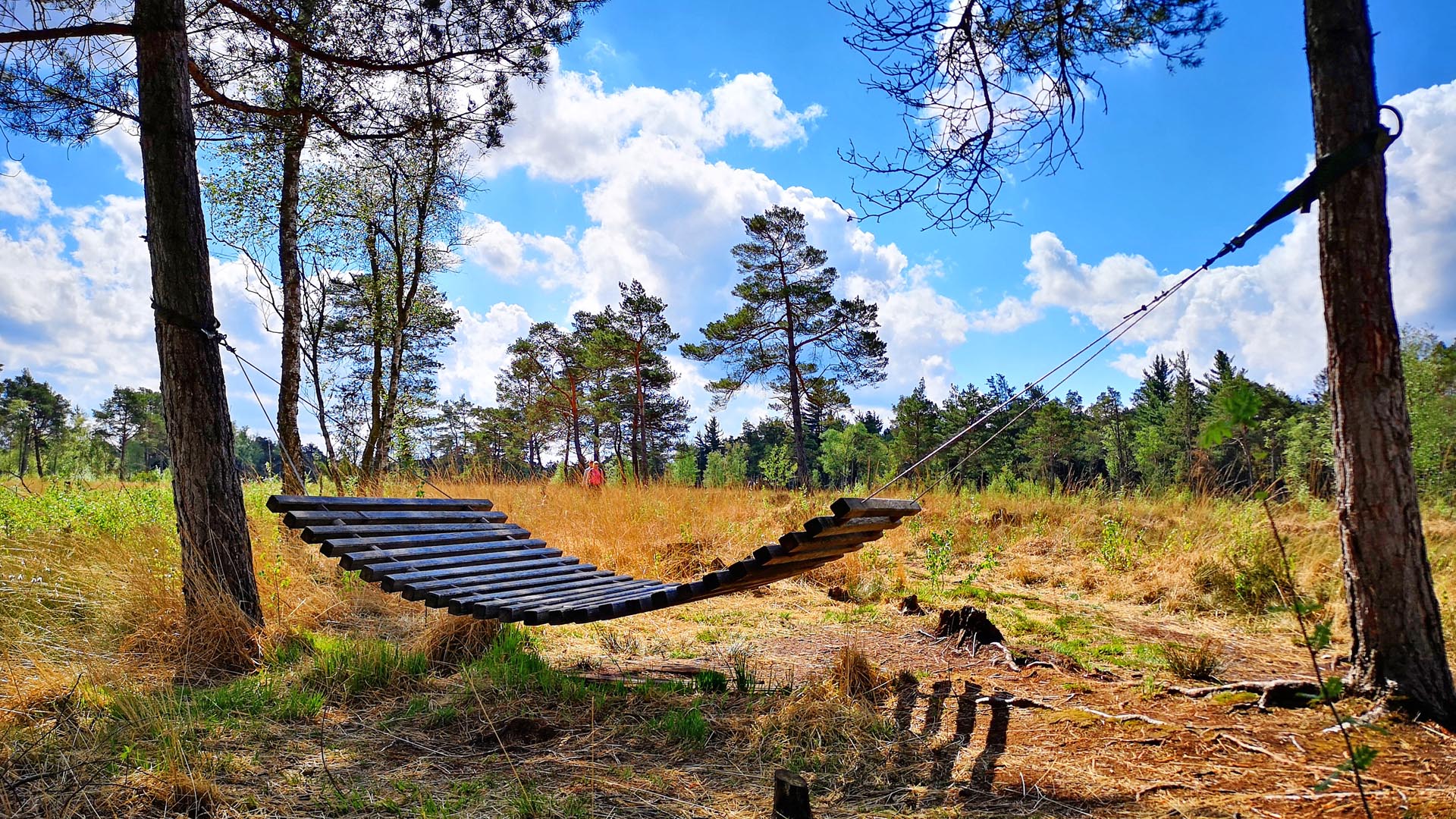 Naturschutzgebiet Tister Bauernmoor