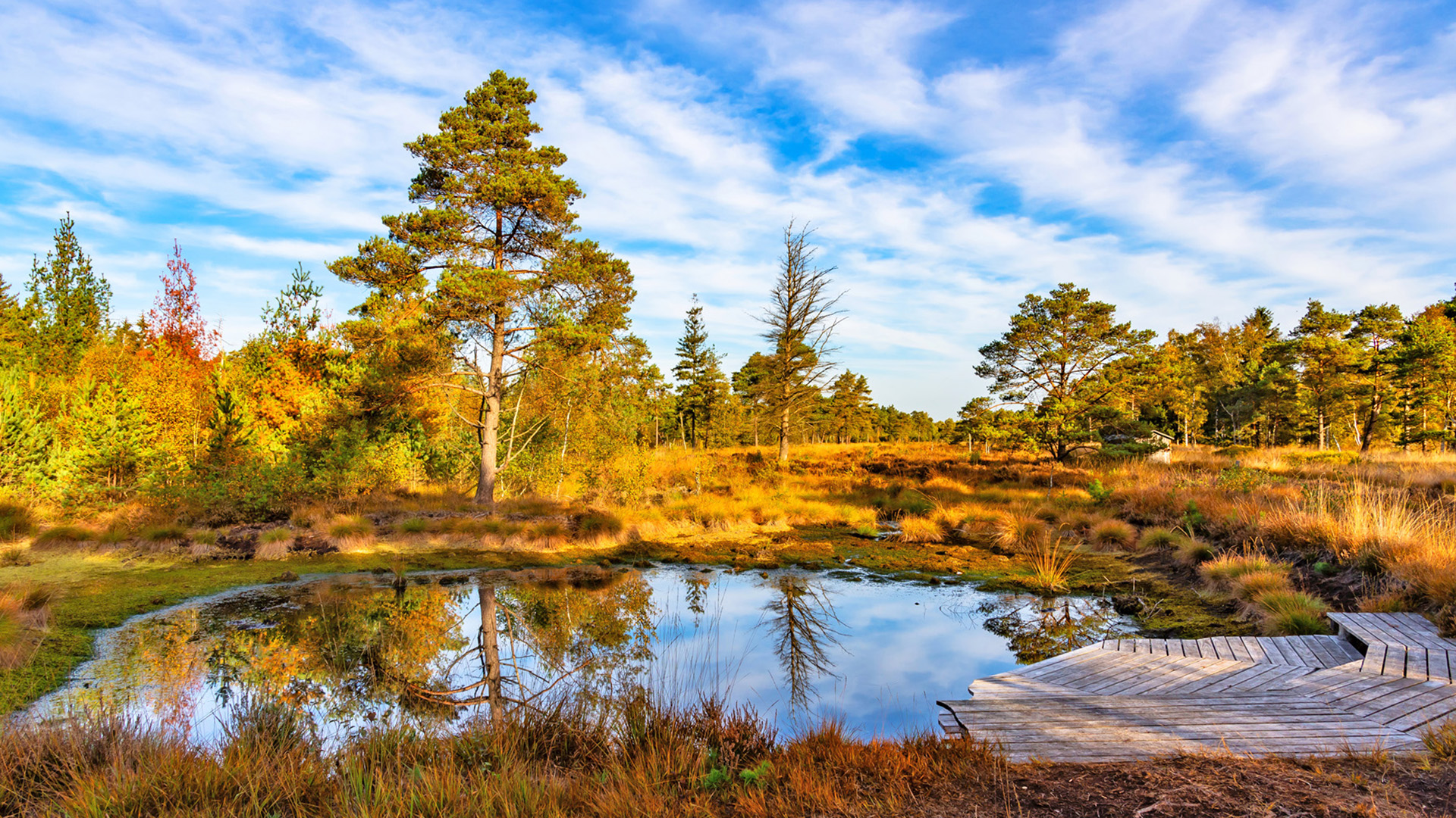 NORDPFAD Börde Sittensen