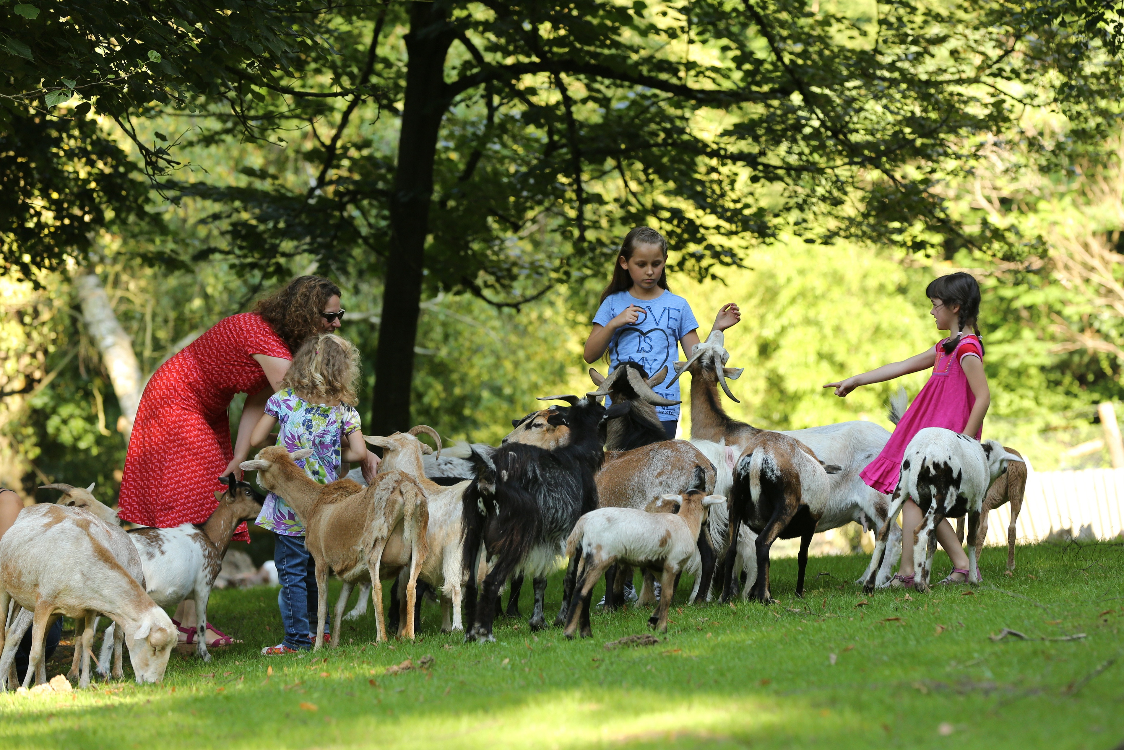 Tierpark Bretten