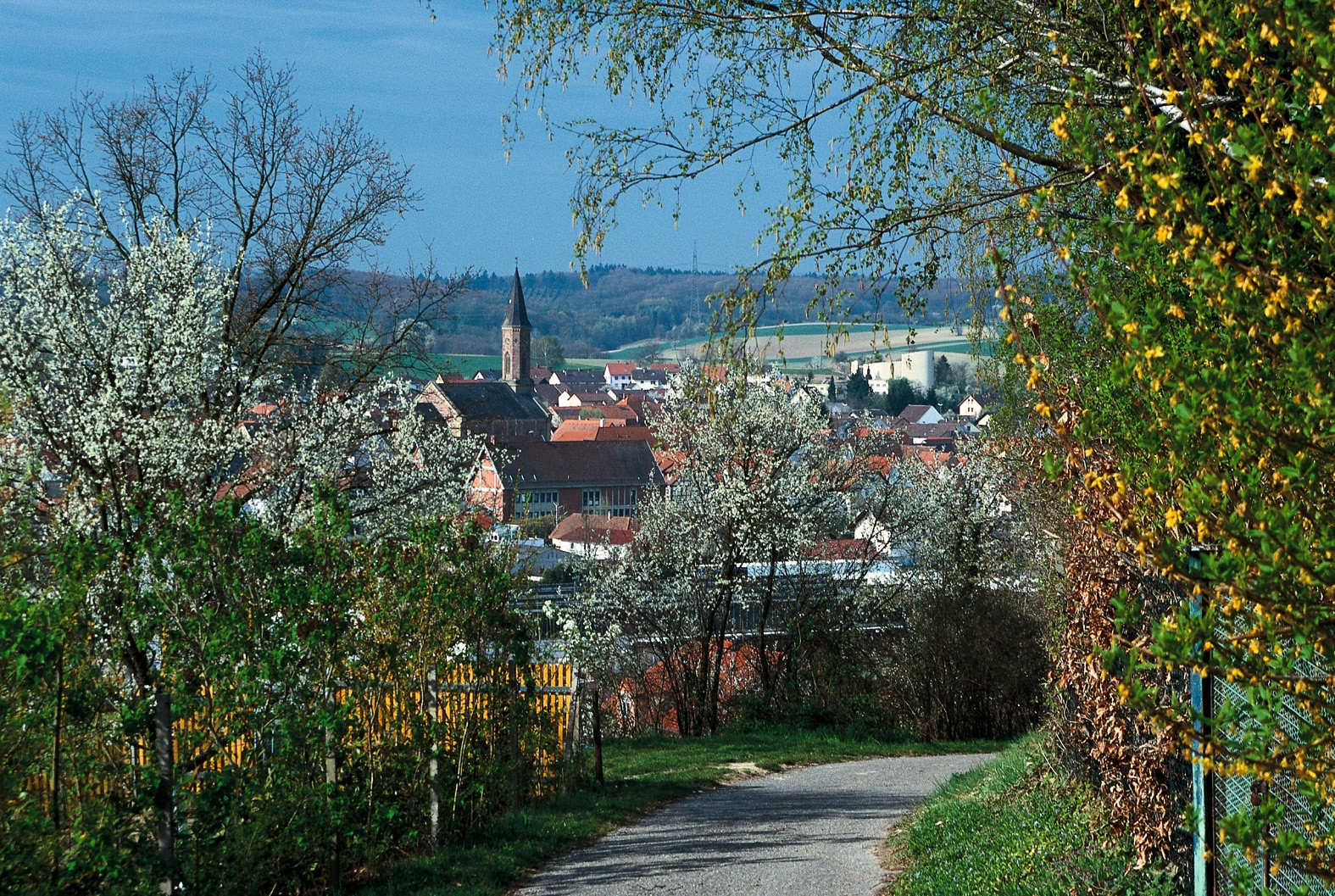 Münzesheim mit Blick auf die Martinskirche