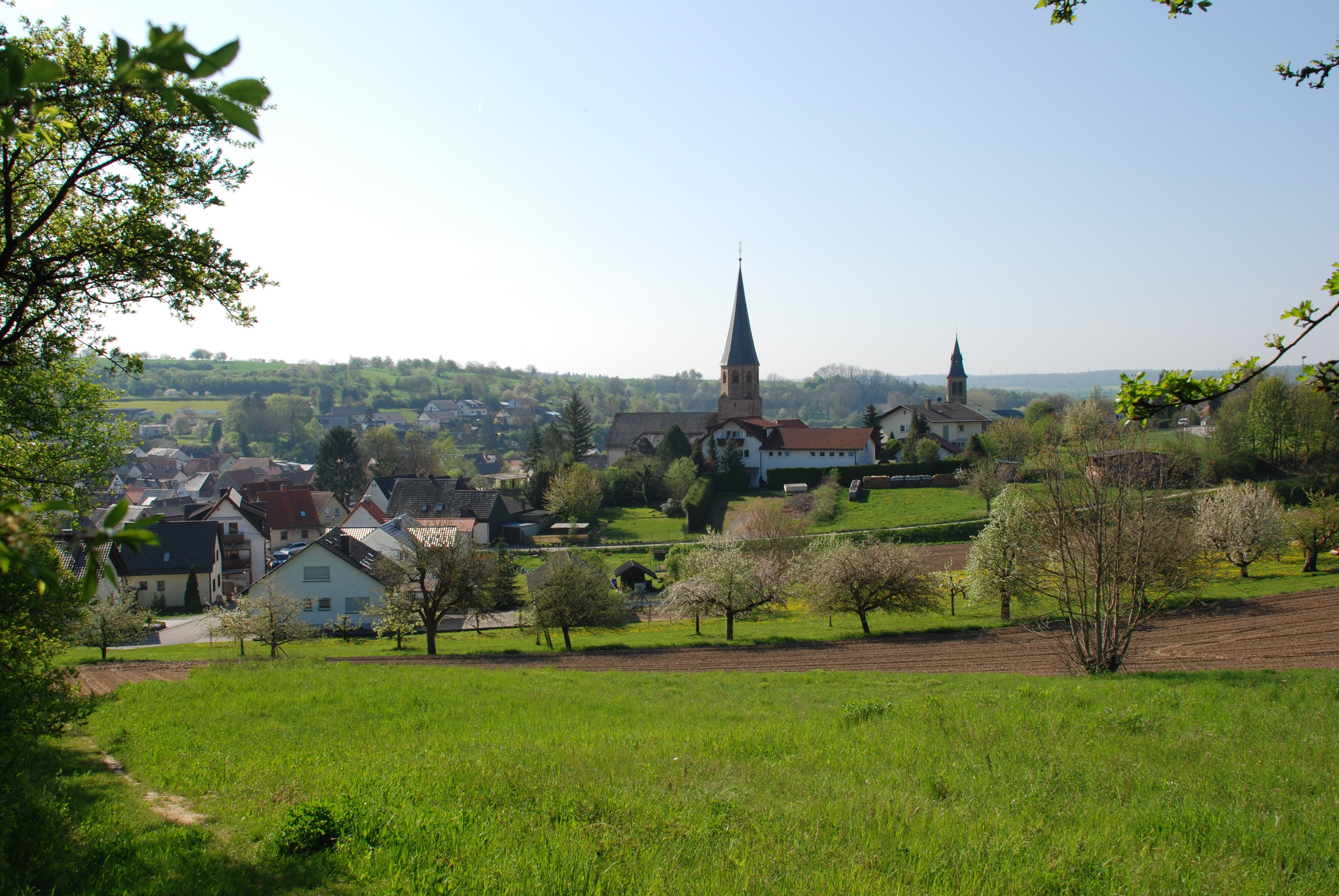 Panoramablick auf Oberöwisheim