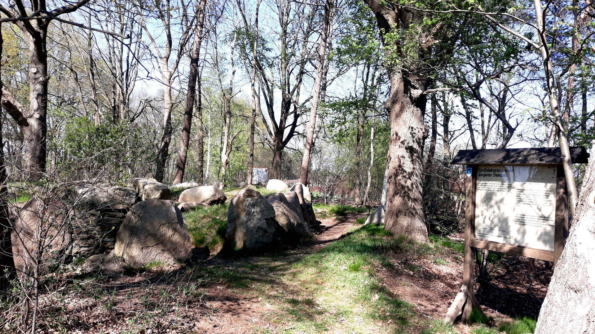 Steinfelder Steingrab am Spachelsberg
