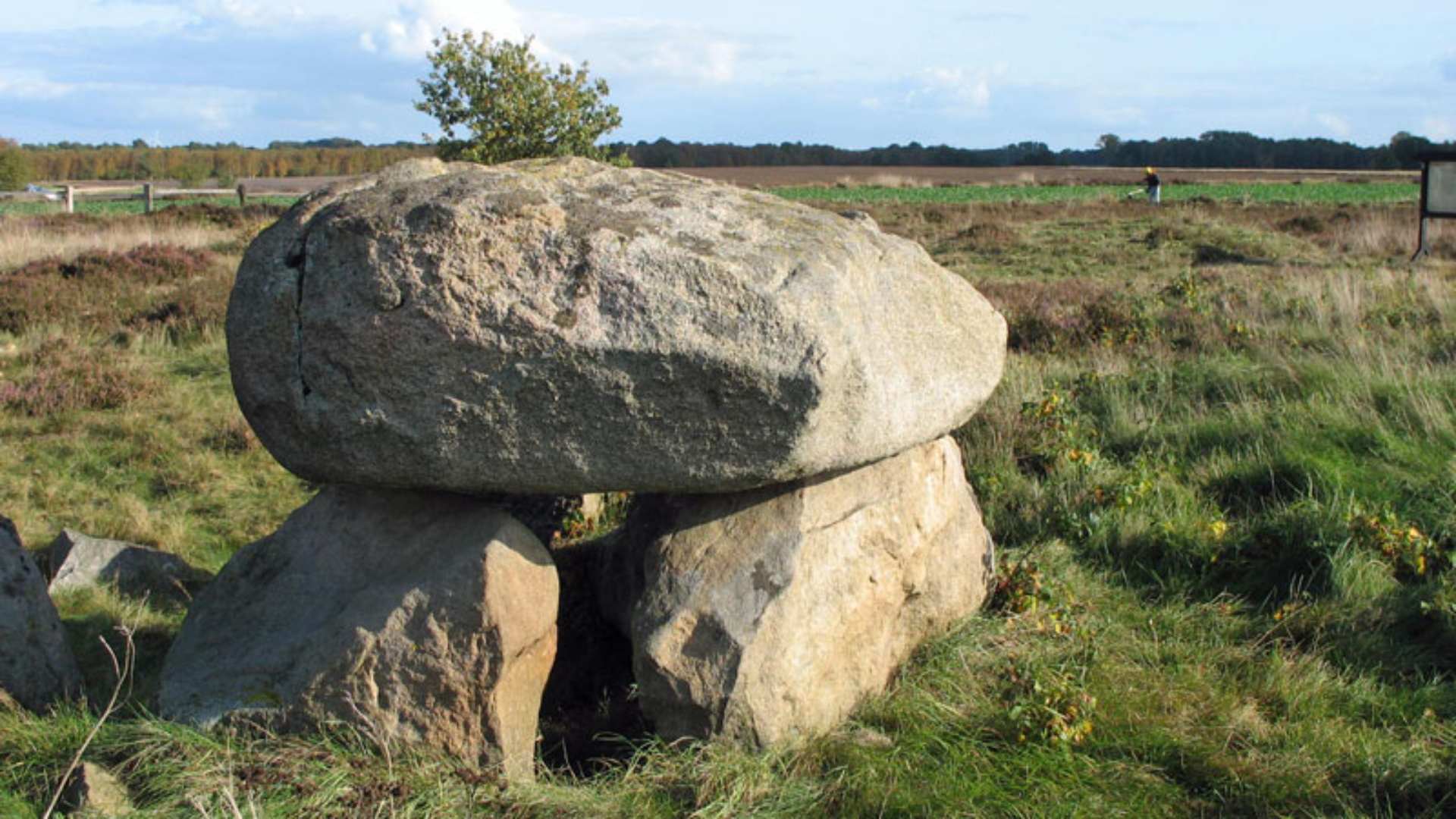 Gräberfeld Steinalkenheide