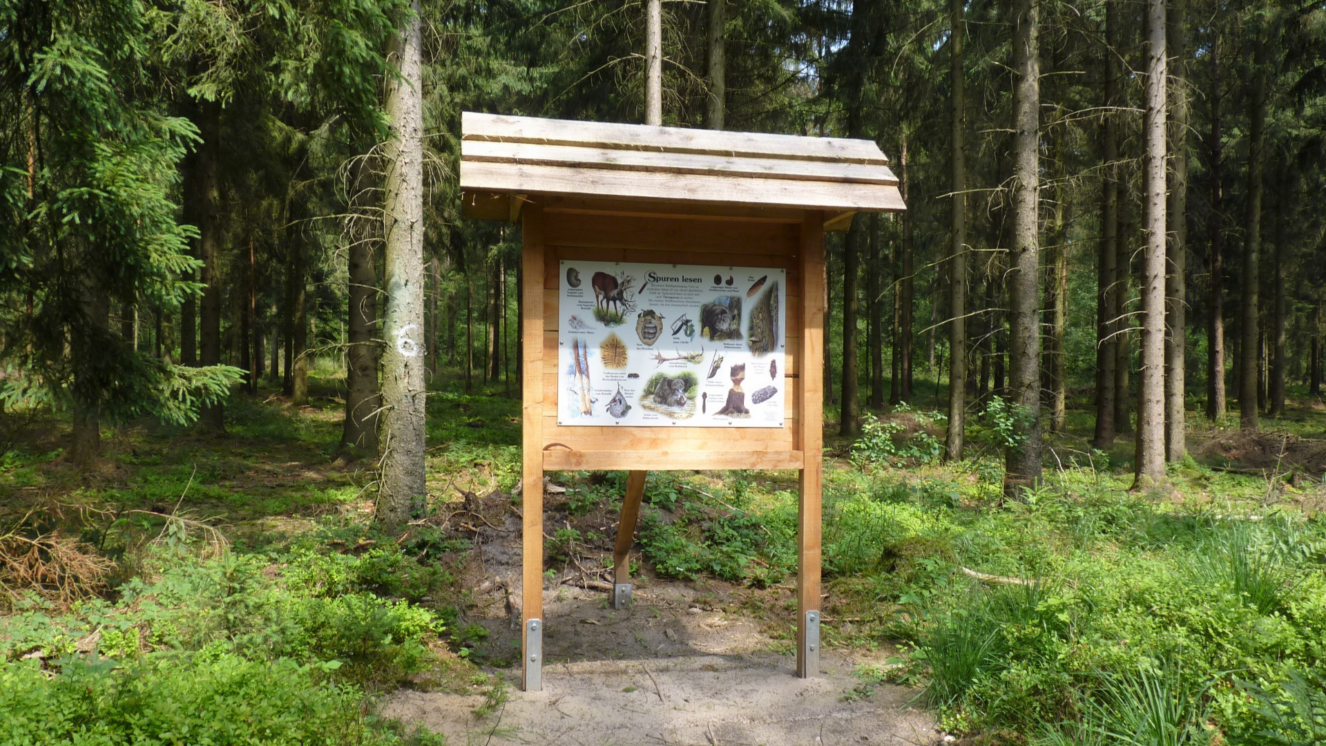 Waldlehrpfad Großes Holz