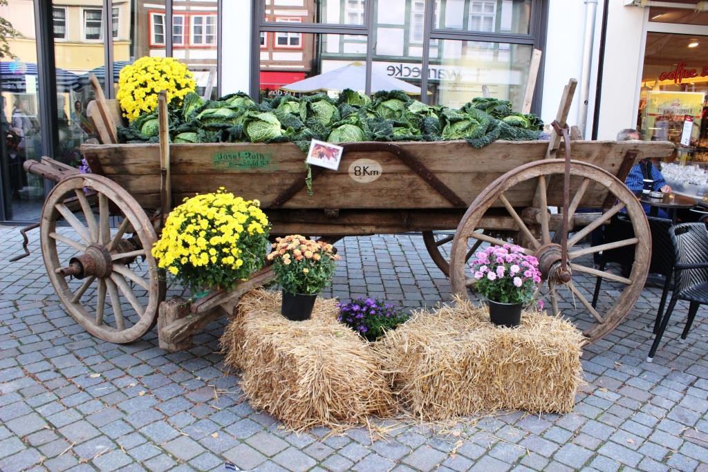 Hamelner Herbstmarkt