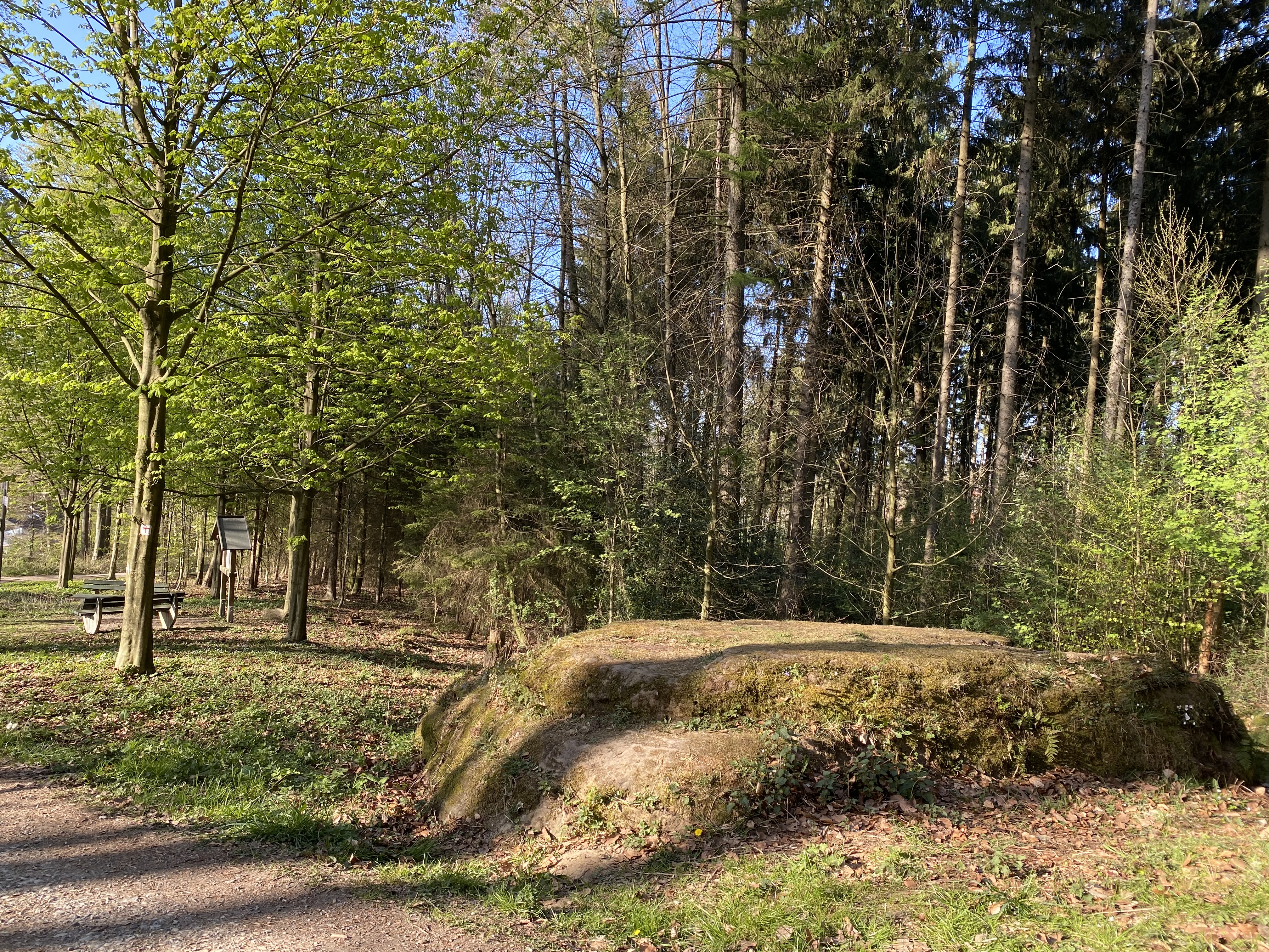 Breiter Stein am Borgberg
