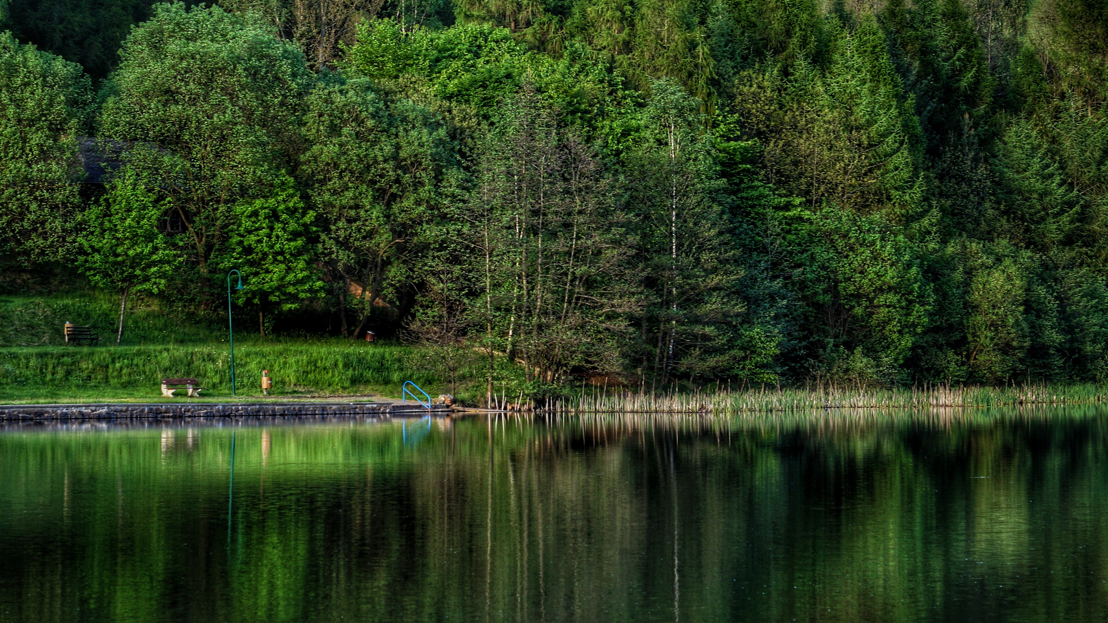 Waldbad Freibad Priorteich