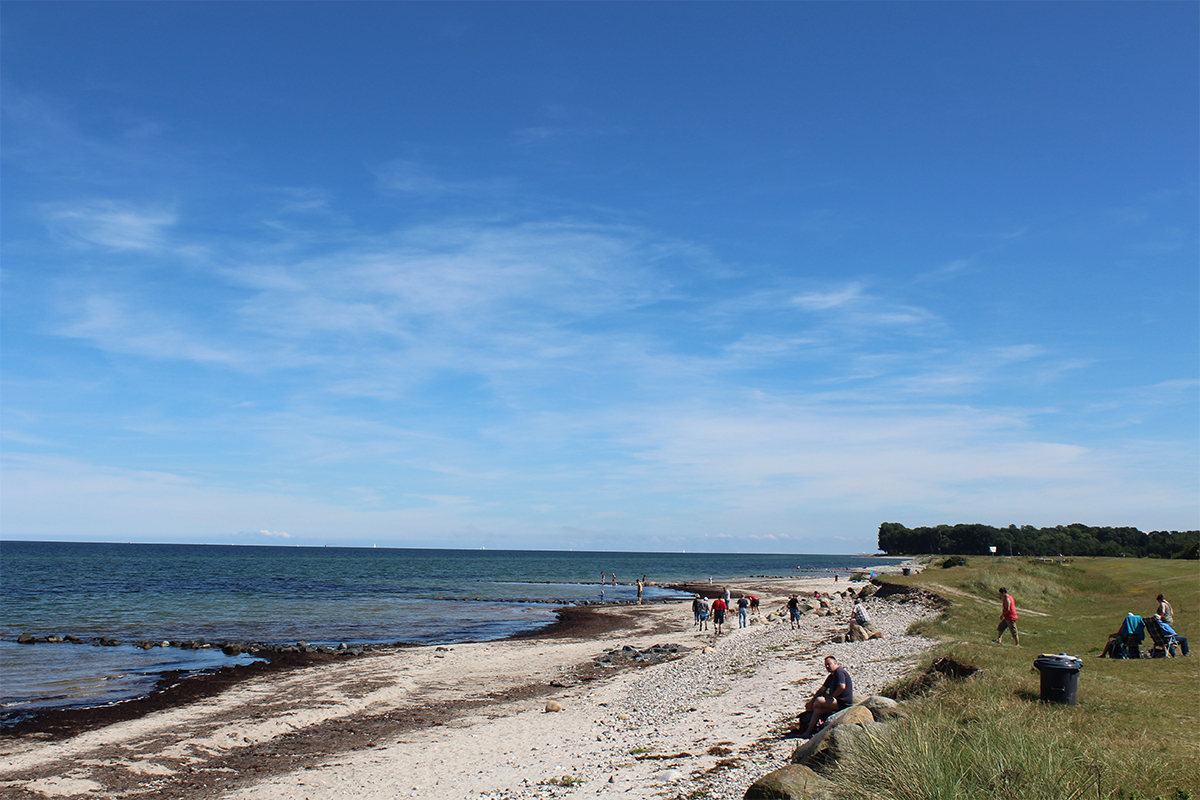 Strand Hasselberg