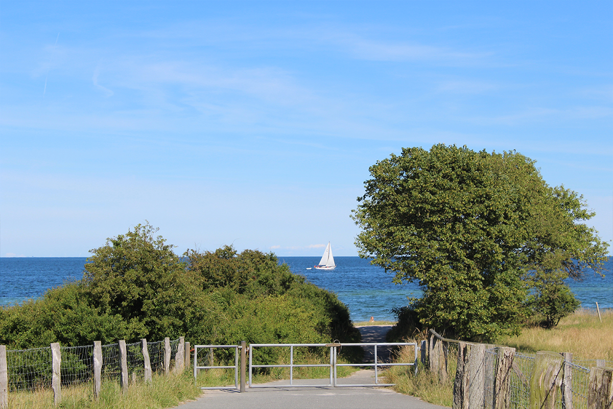 Strand Falshöft