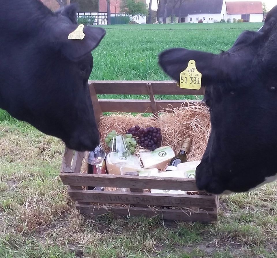 Milchtankstelle "Annas frische Hofmilch"