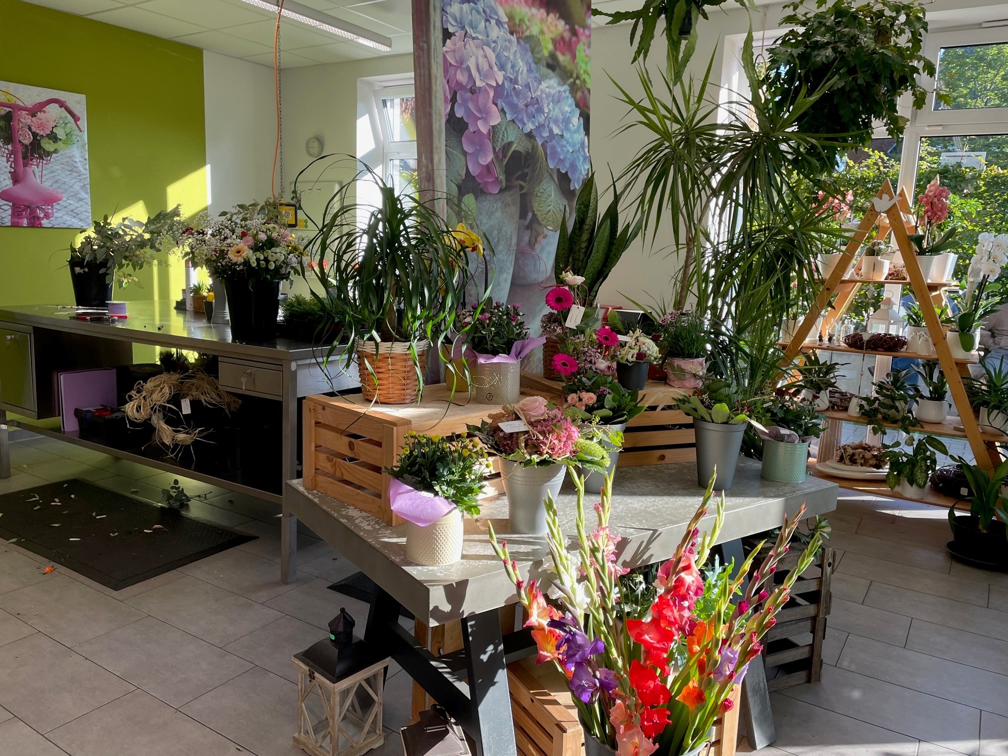 Floristik Im Caf Flora