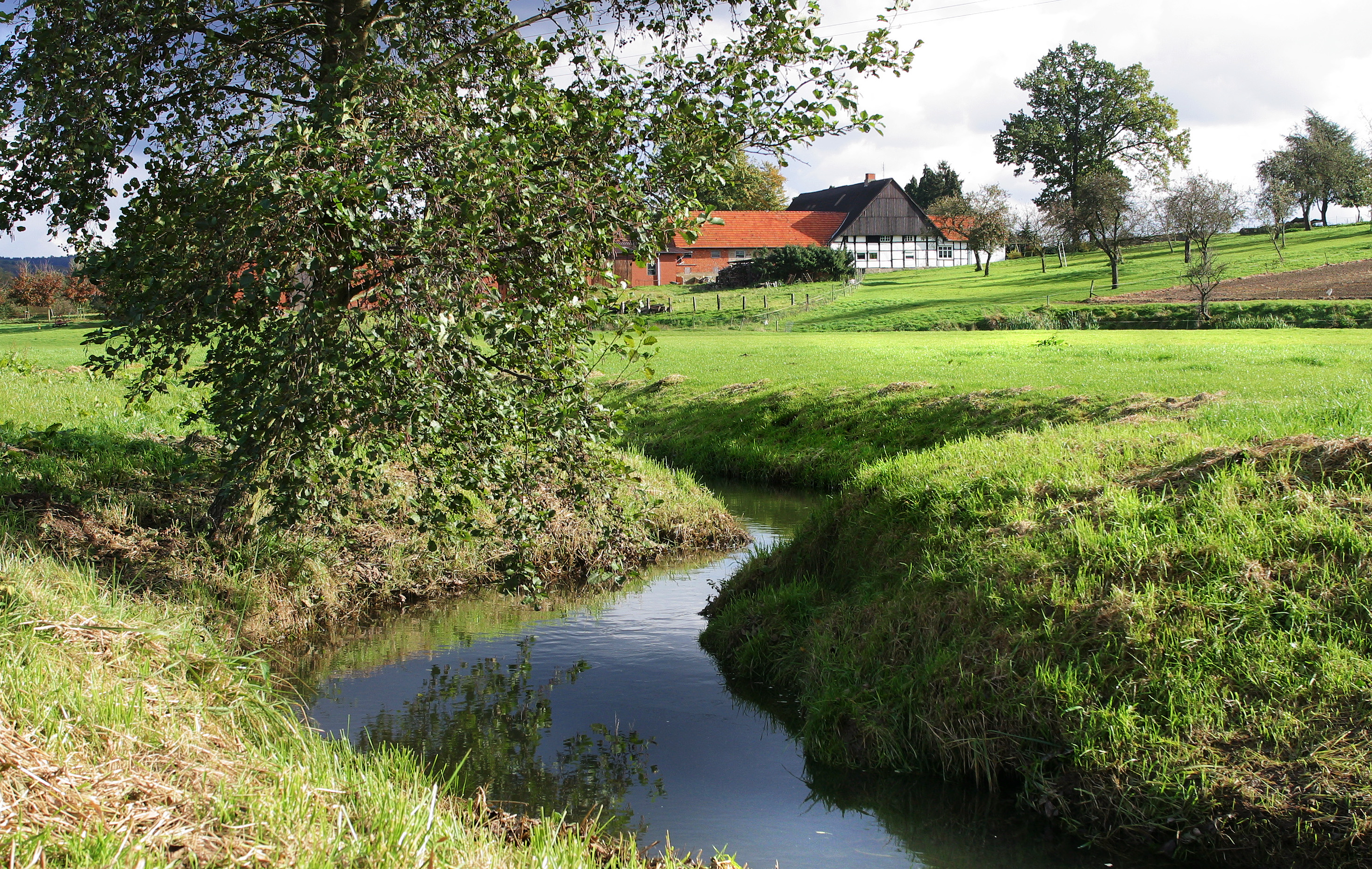 Forellental und Goldbach