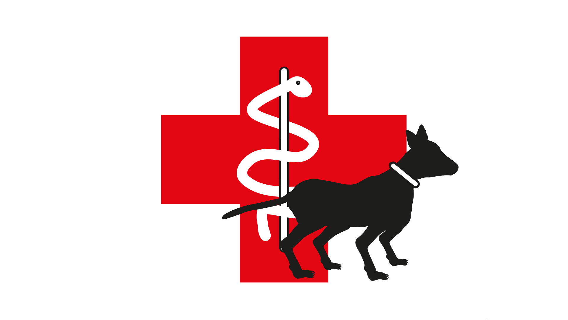 Tierärztin Dr. med. Katrin Solaro