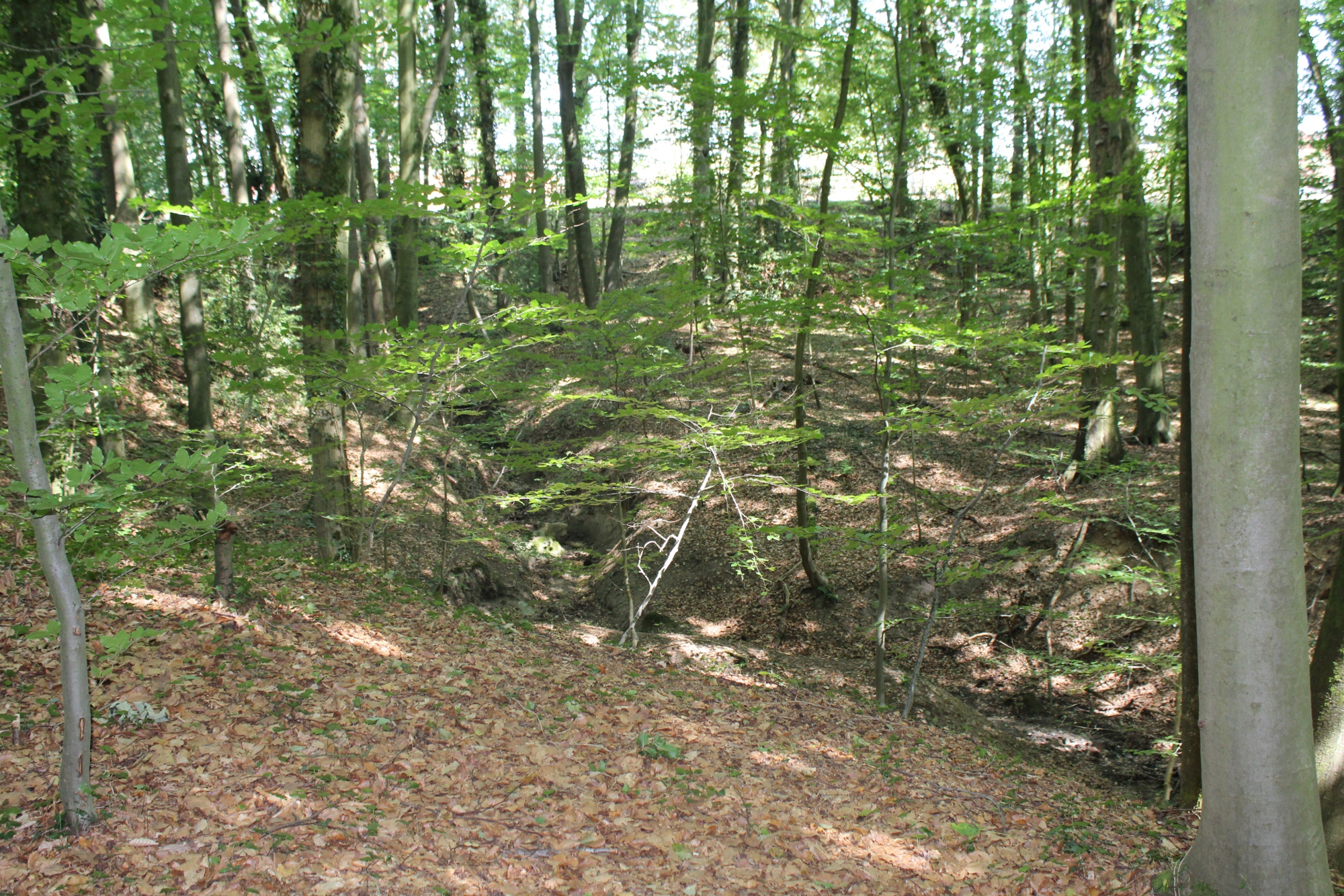 Binner Schlucht