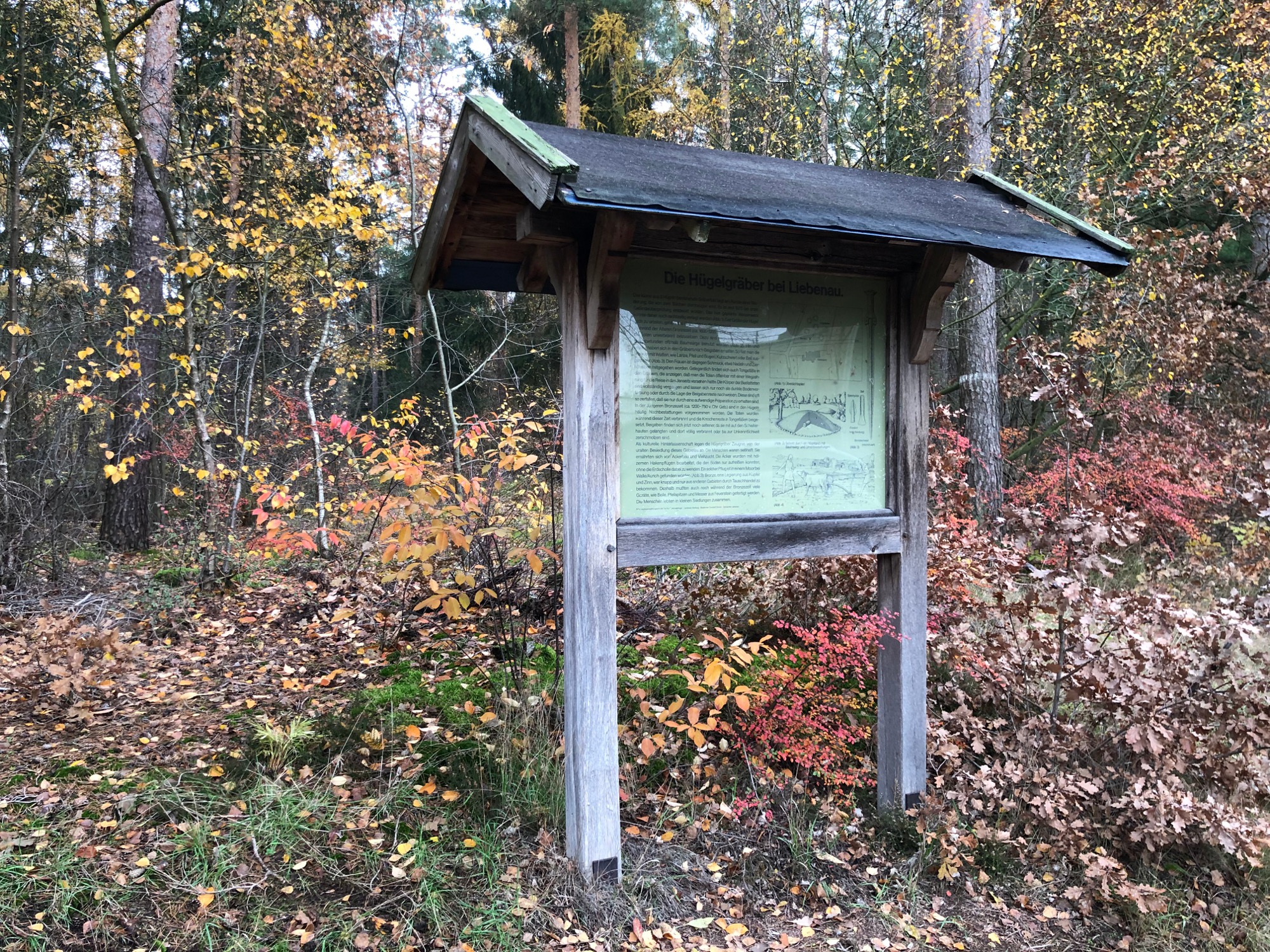 Grabhügelgruppe Liebenau
