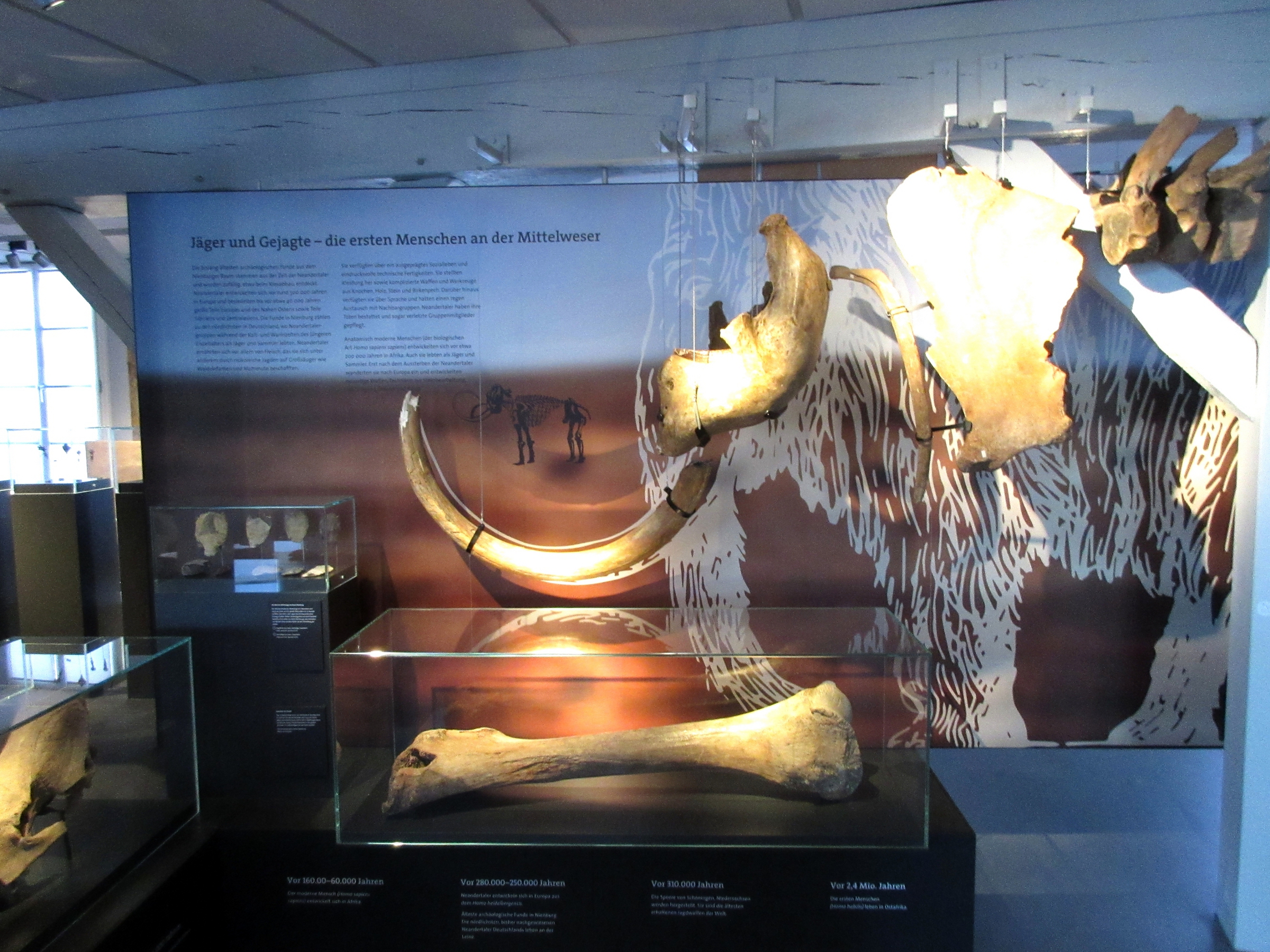 Museum Nienburg