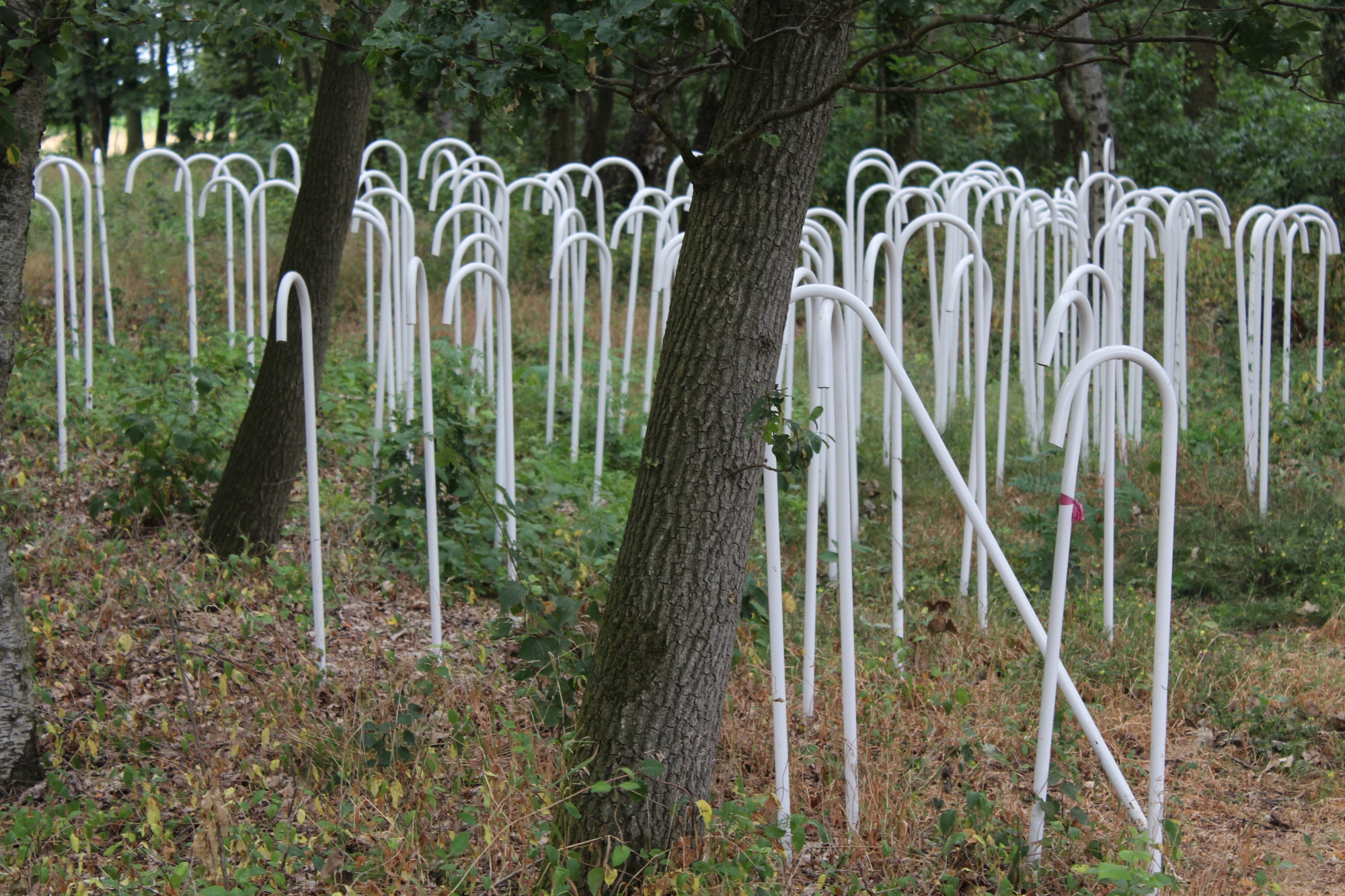 Skulptur "Einhundertneununddreißig"