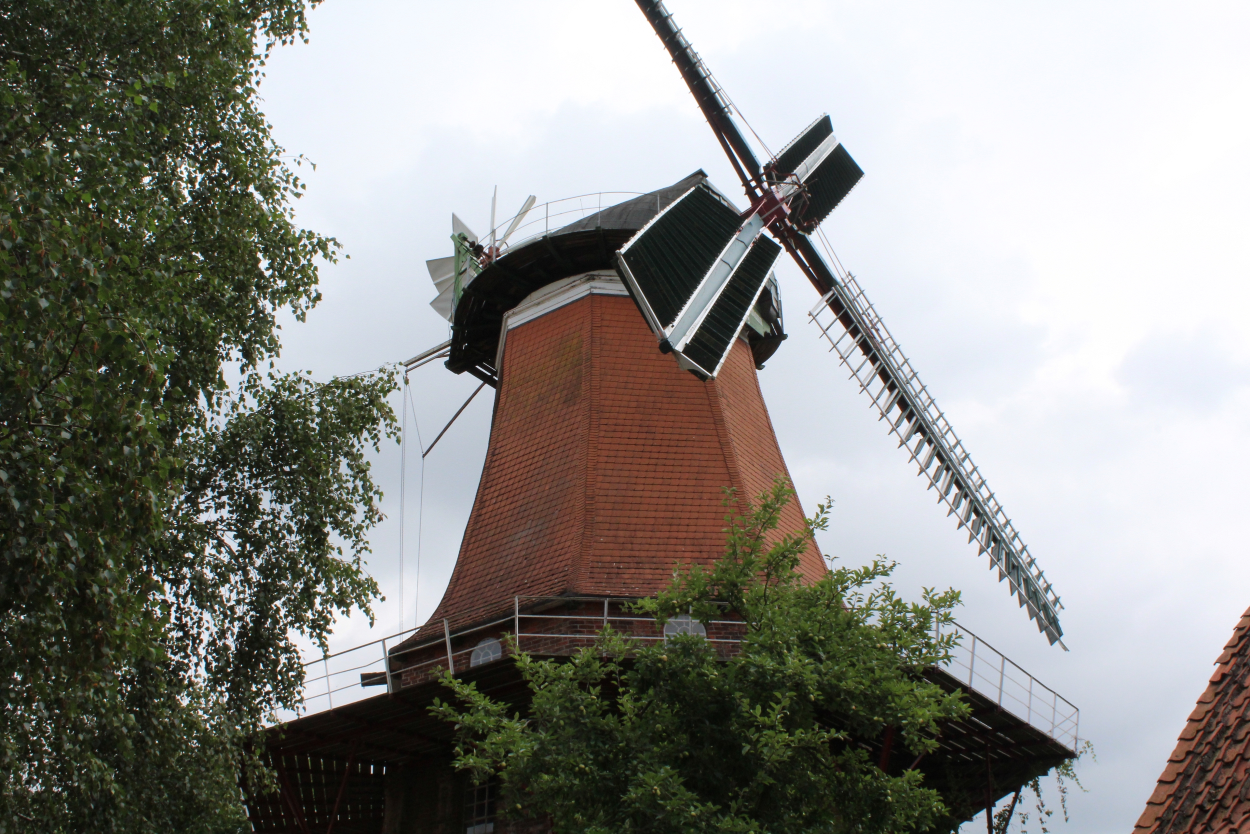 Windmühle Westen