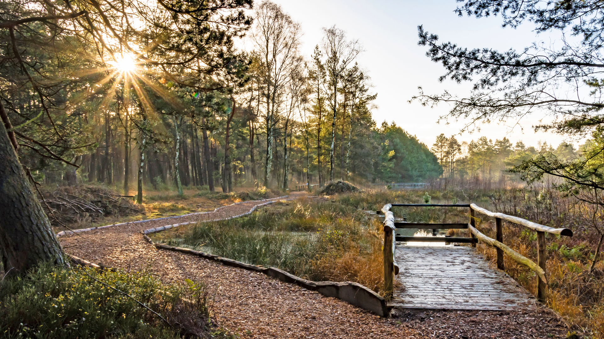 Naturschutzgebiet Großes und Weißes Moor