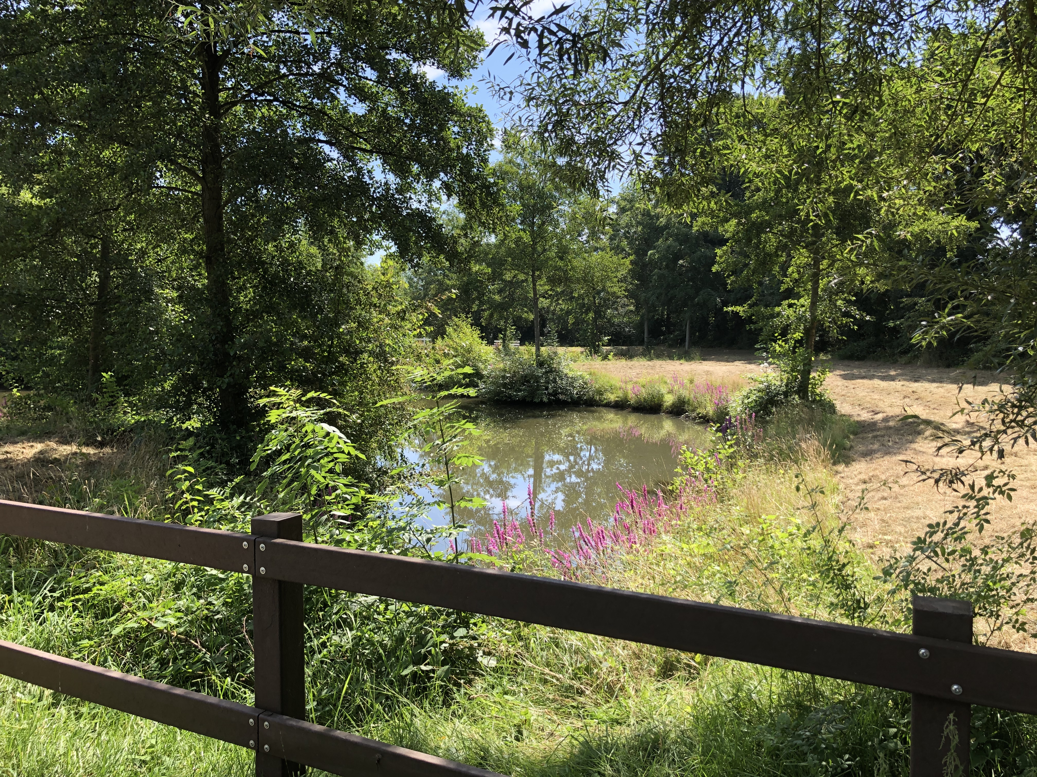 Landschaftspark Aueniederung
